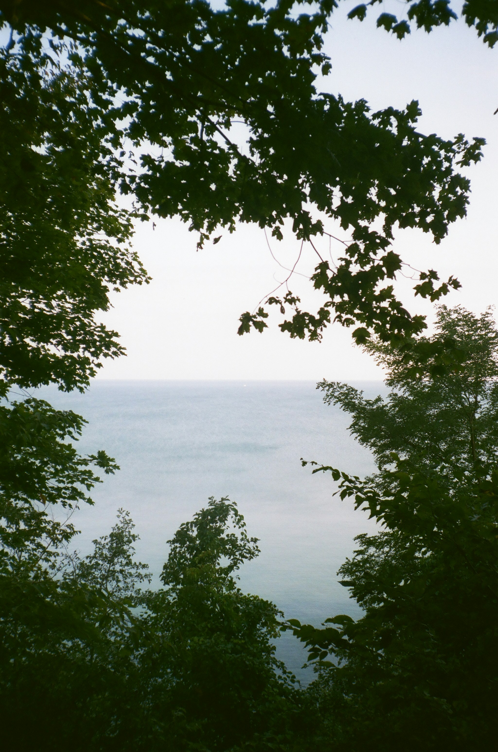 Photo by sydmoore6