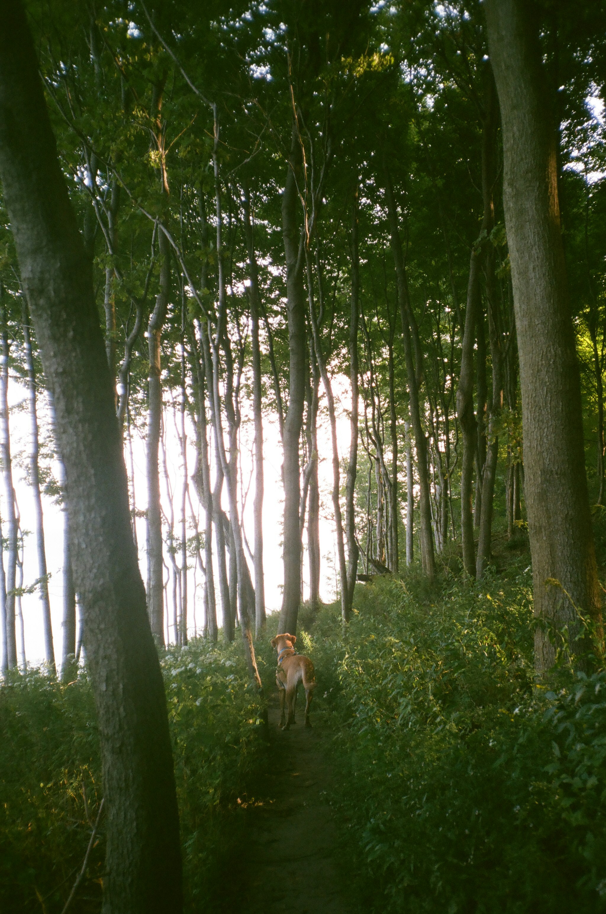 Photo by sydmoore6