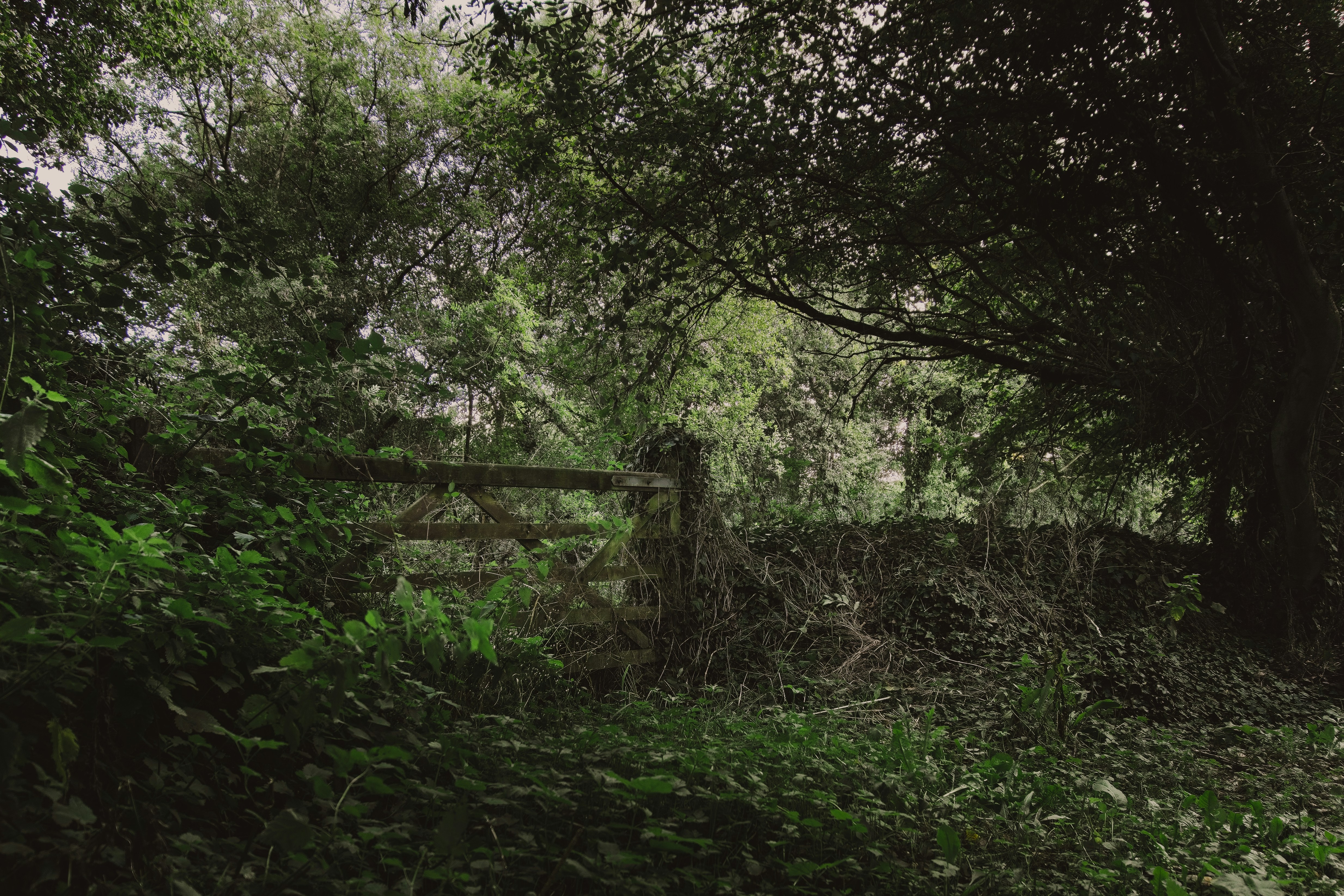 Photo by arthurhinton