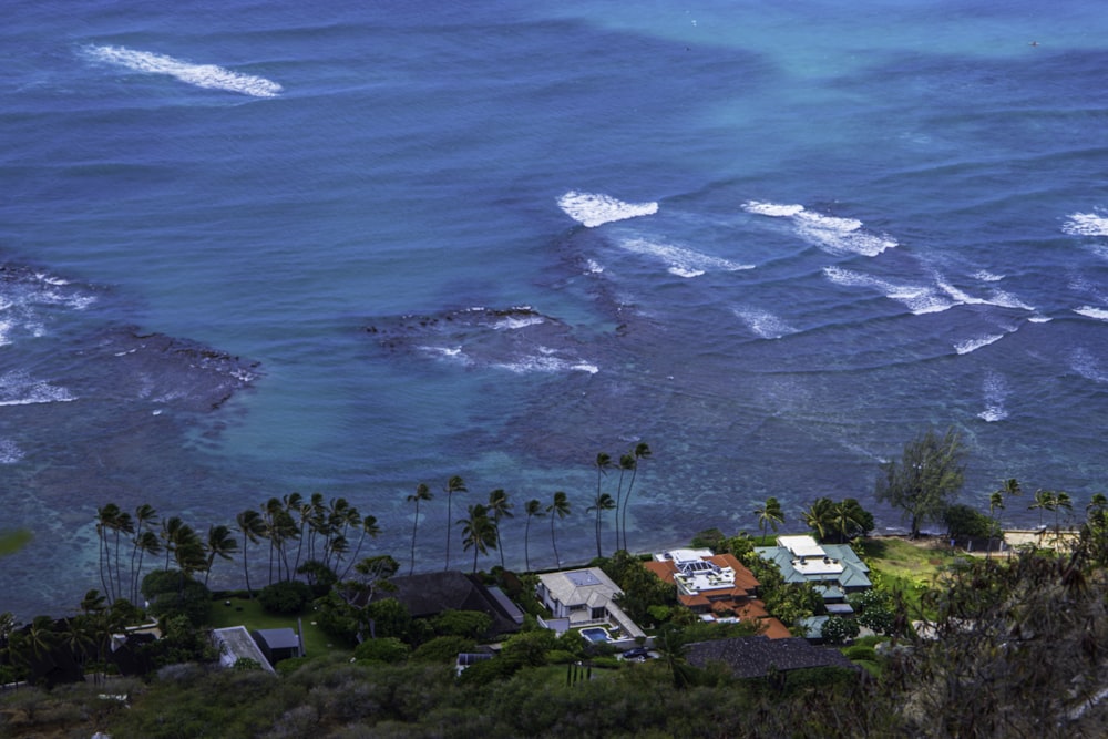 a beach with houses and trees