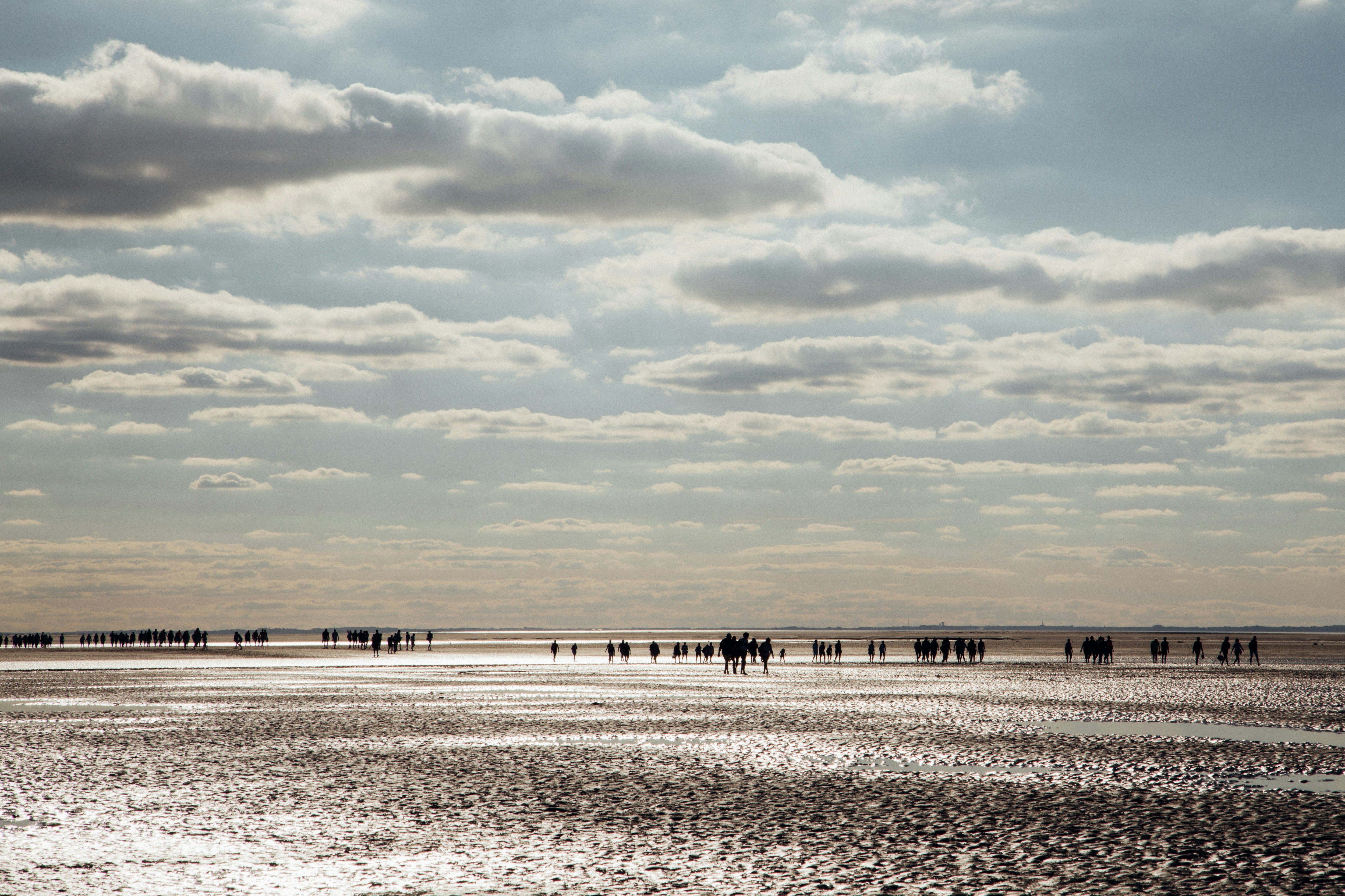 a group of people walking on a beach