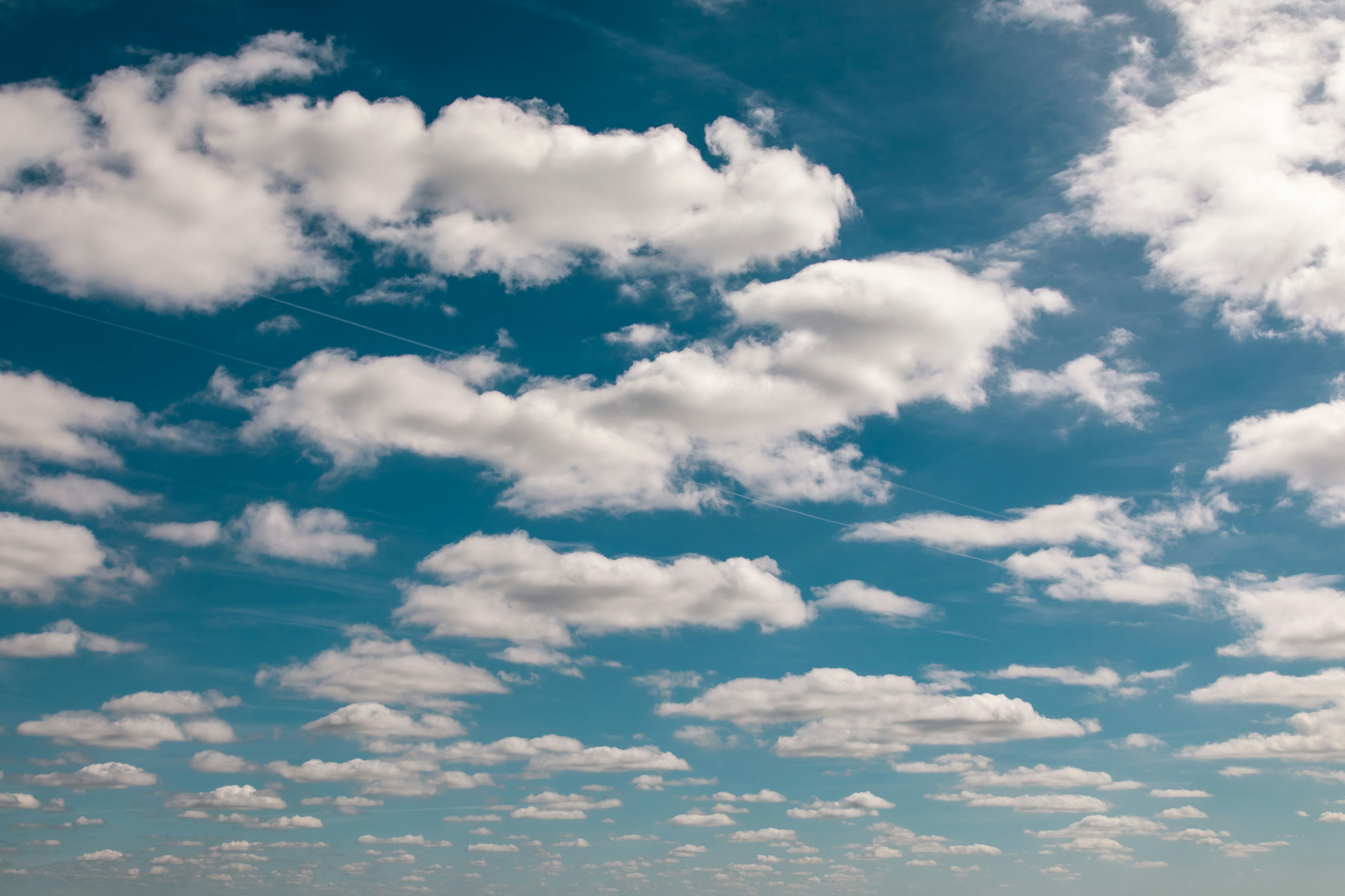 Photo by mikejerskine