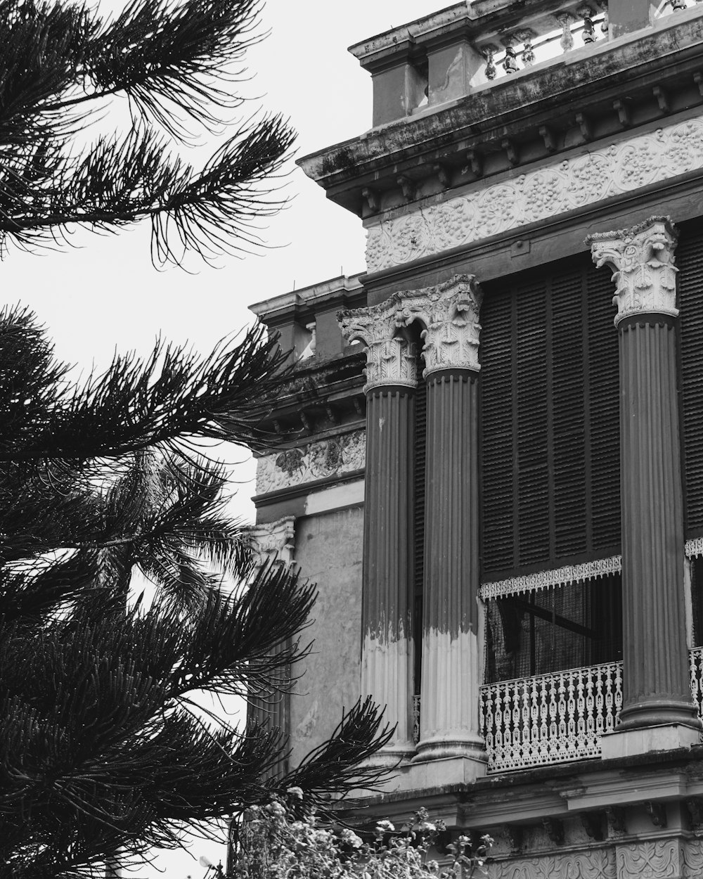 a building with columns and a tree