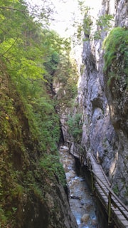 a bridge over a river