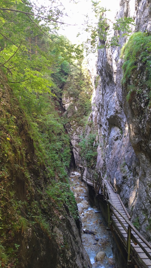 a bridge over a river