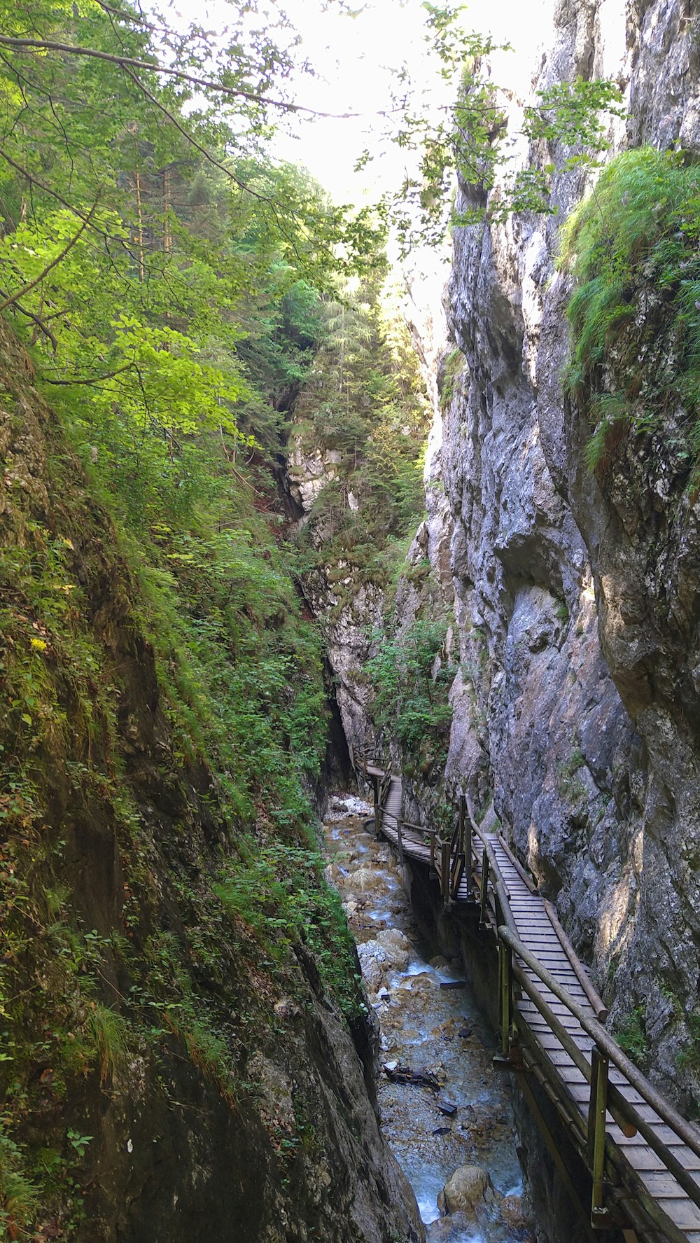 a bridge over a river