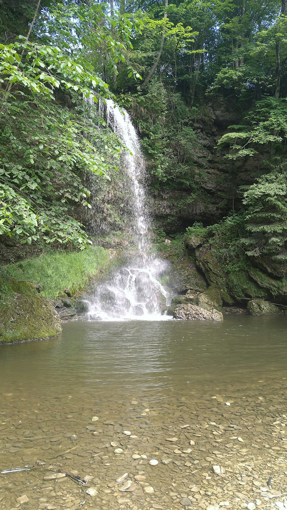 a waterfall in a forest