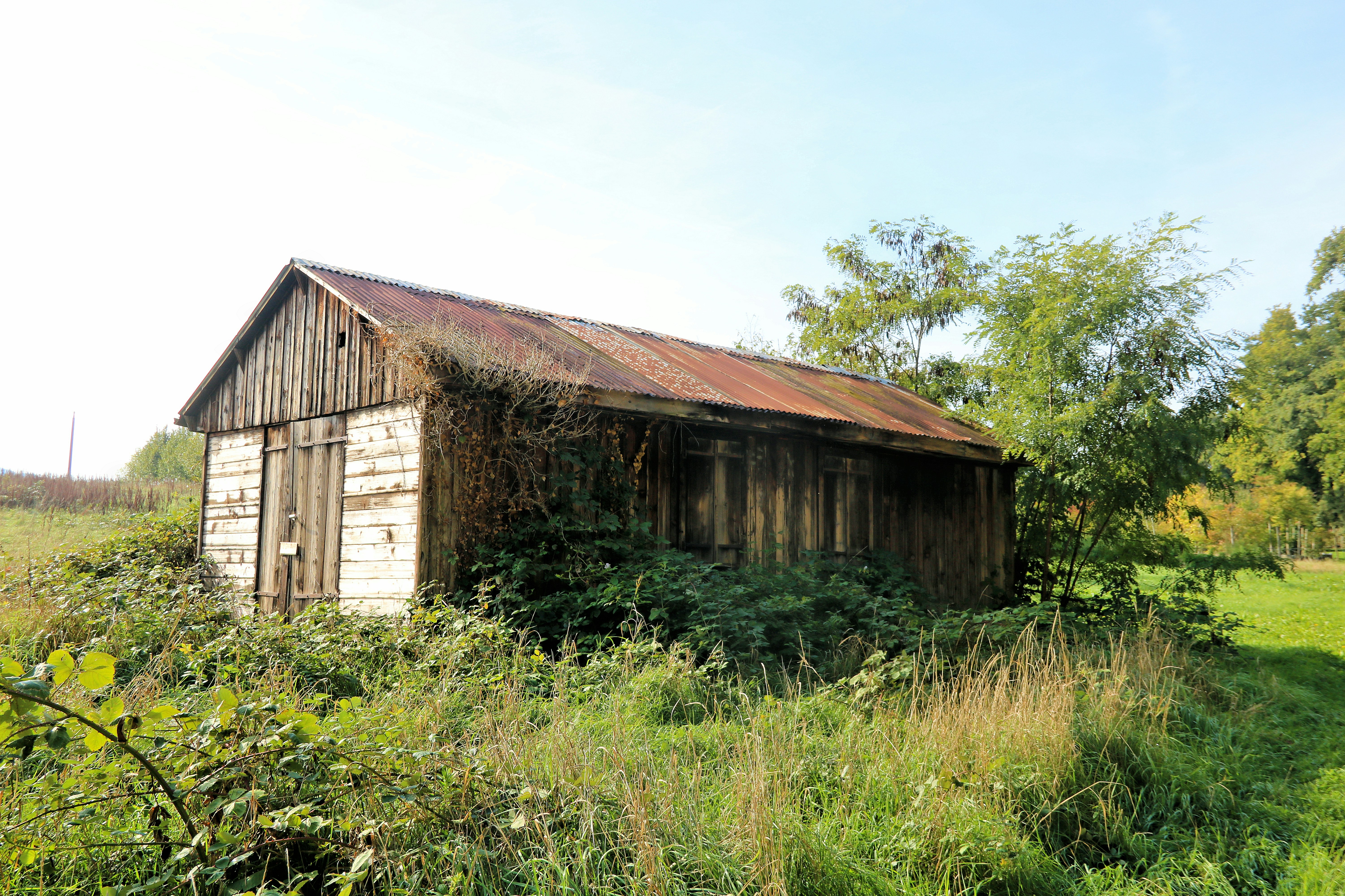 Photo by philpotophoto