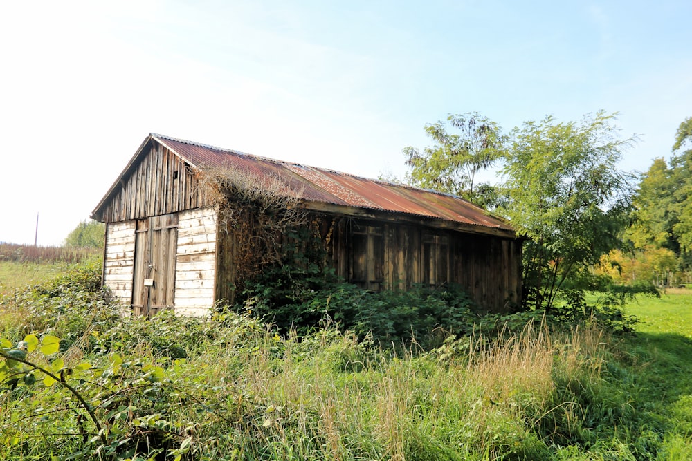 a wooden building in a grassy field