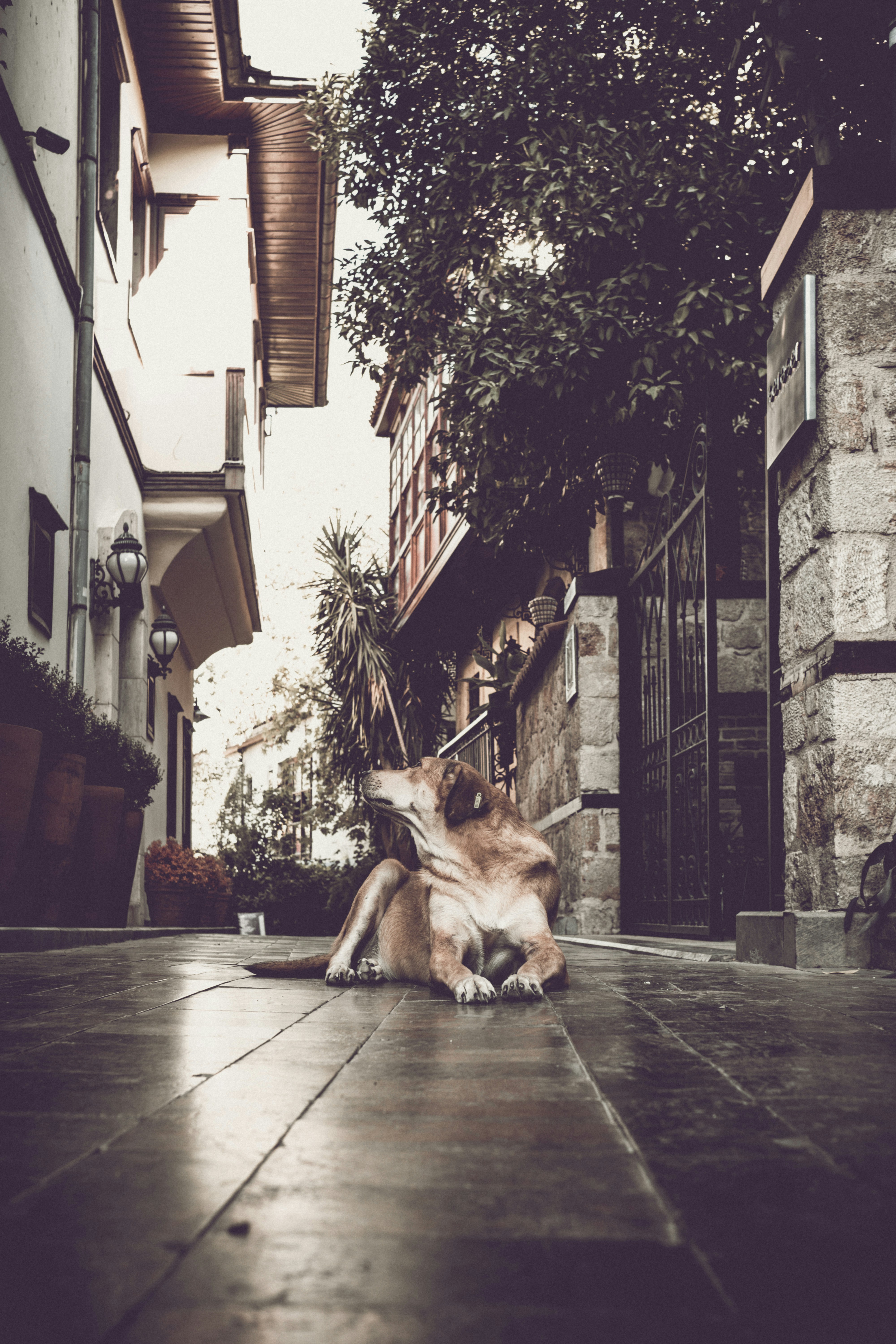 Photo by cerenays