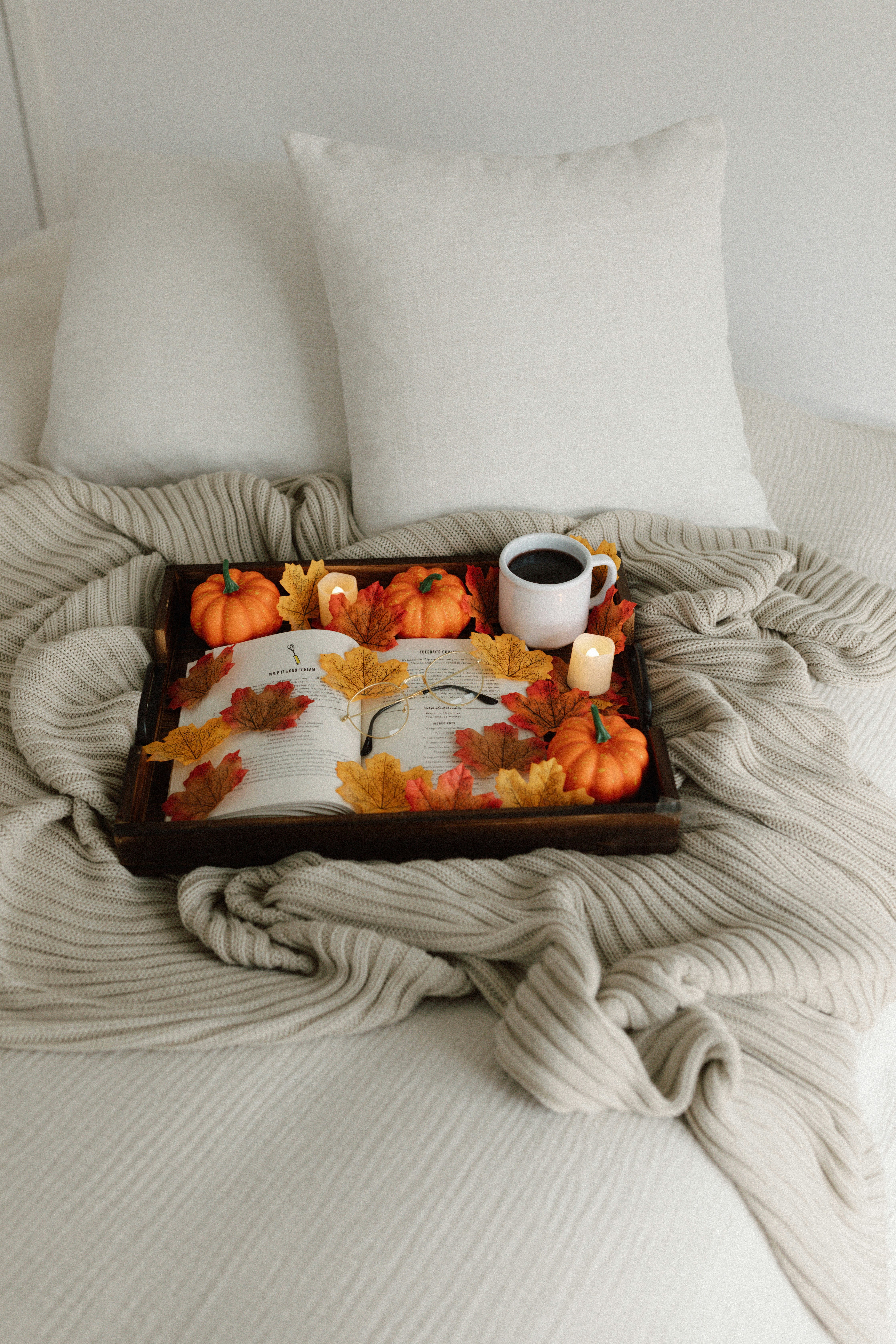 photo-1664297936912-6c7af7f2c83e?ixid=M3wxMjA3fDB8MXxzZWFyY2h8MTI3fHxEZXJpbGElMjBQaWxsb3d8ZW58MHx8fHwxNzU0MDU5MDg4fDA%5Cu0026ixlib=rb-4.1.0