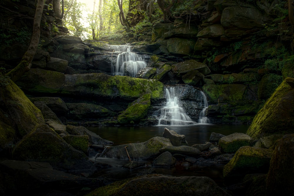 a small waterfall in a forest