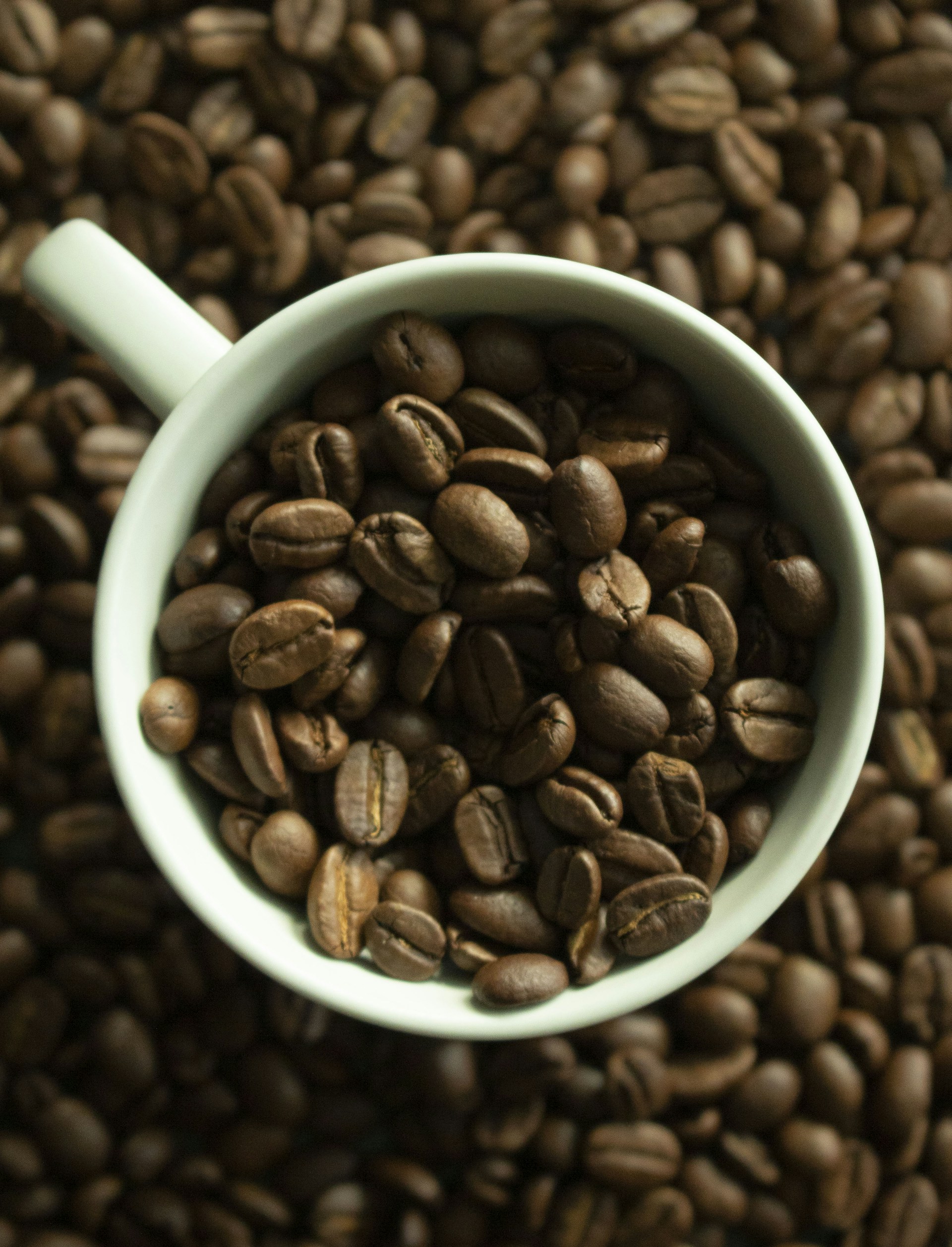 a bowl of coffee beans