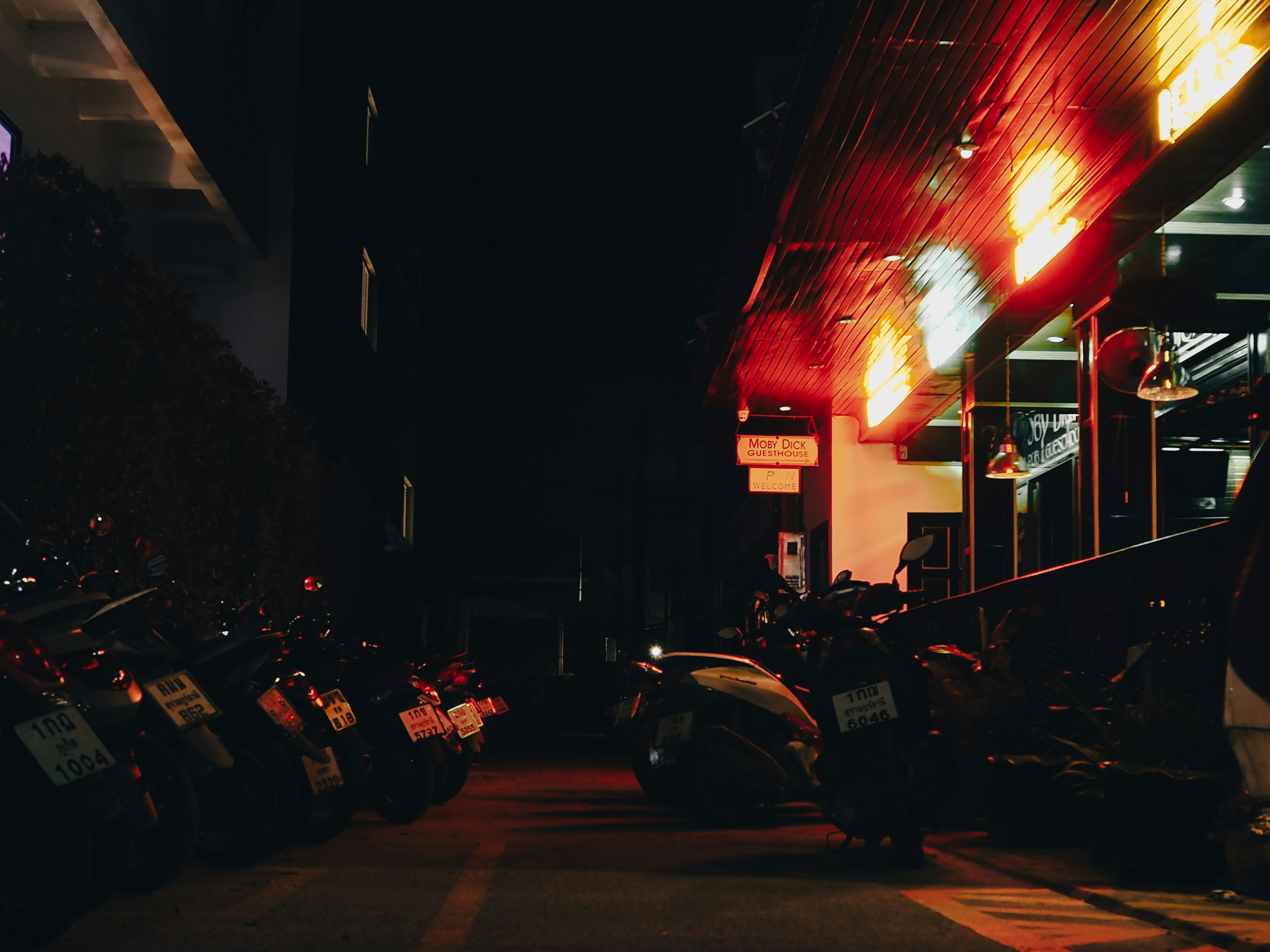 Photo by goldenantelope