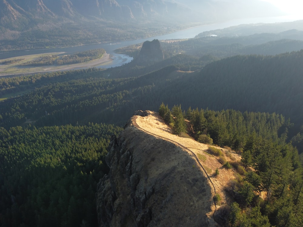 a large rock cliff with trees on it