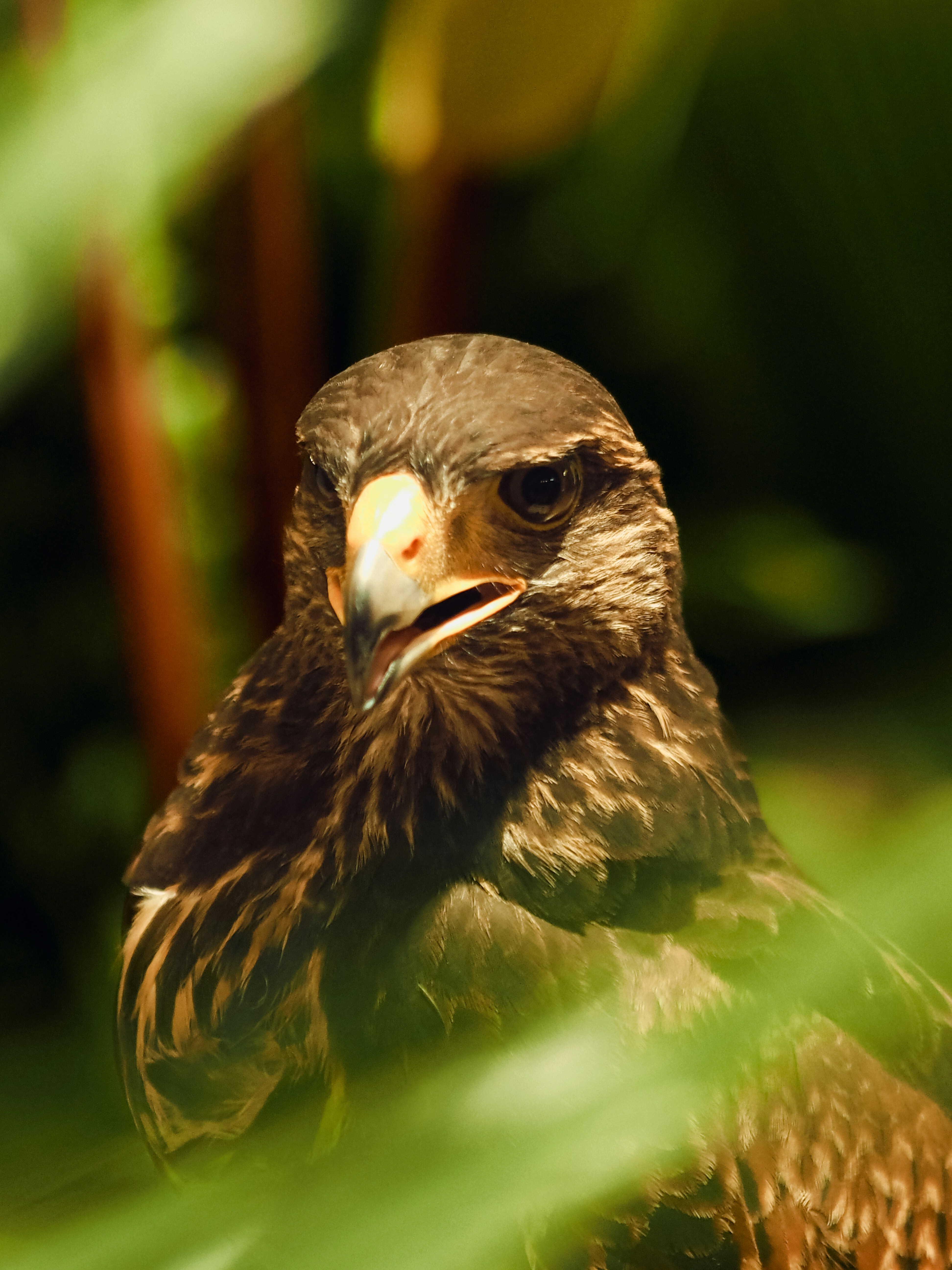 Photo by goldenantelope