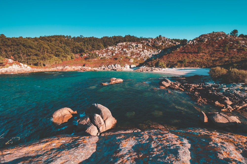 un cuerpo de agua con rocas y árboles a su alrededor