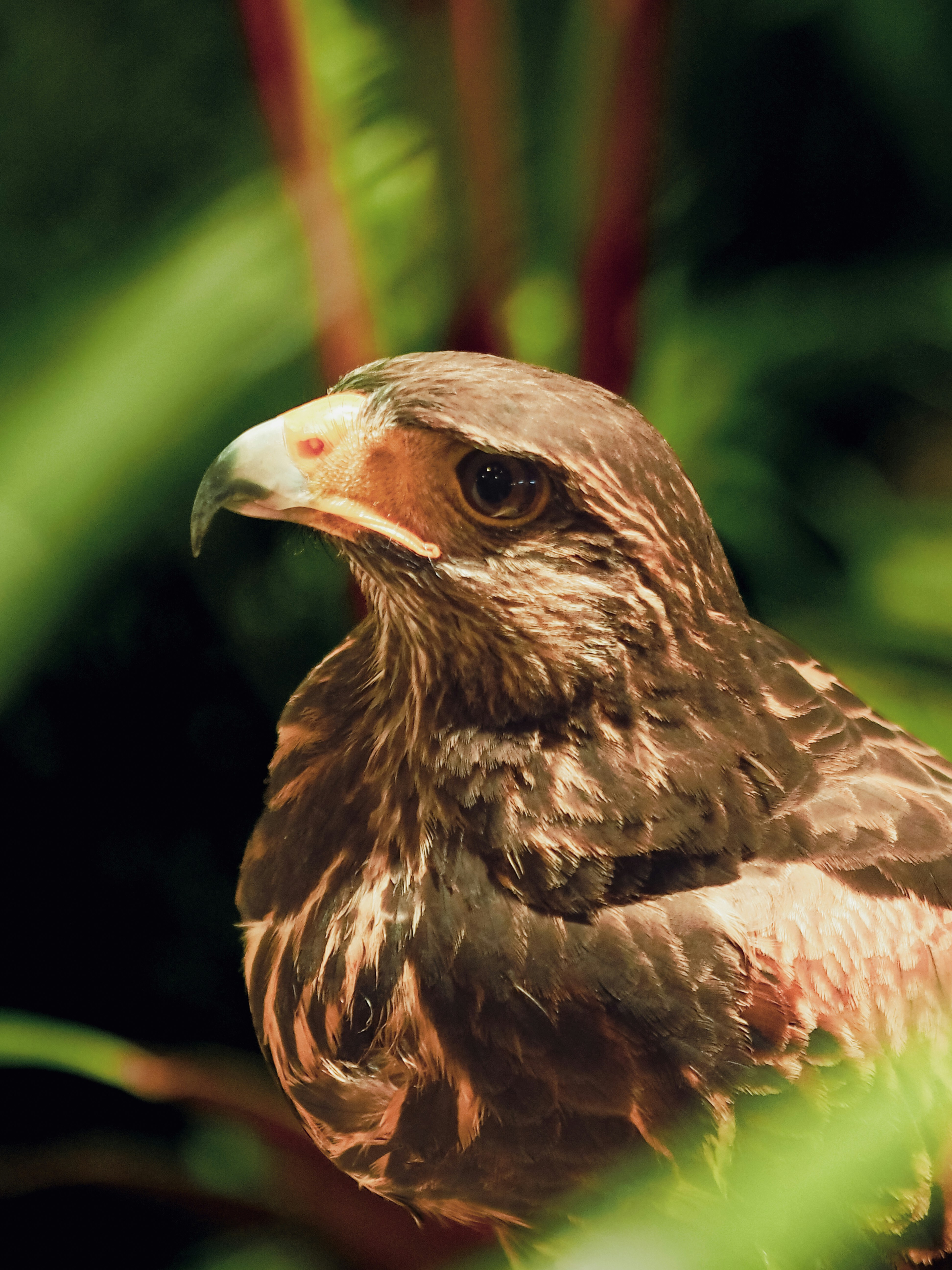 Photo by goldenantelope