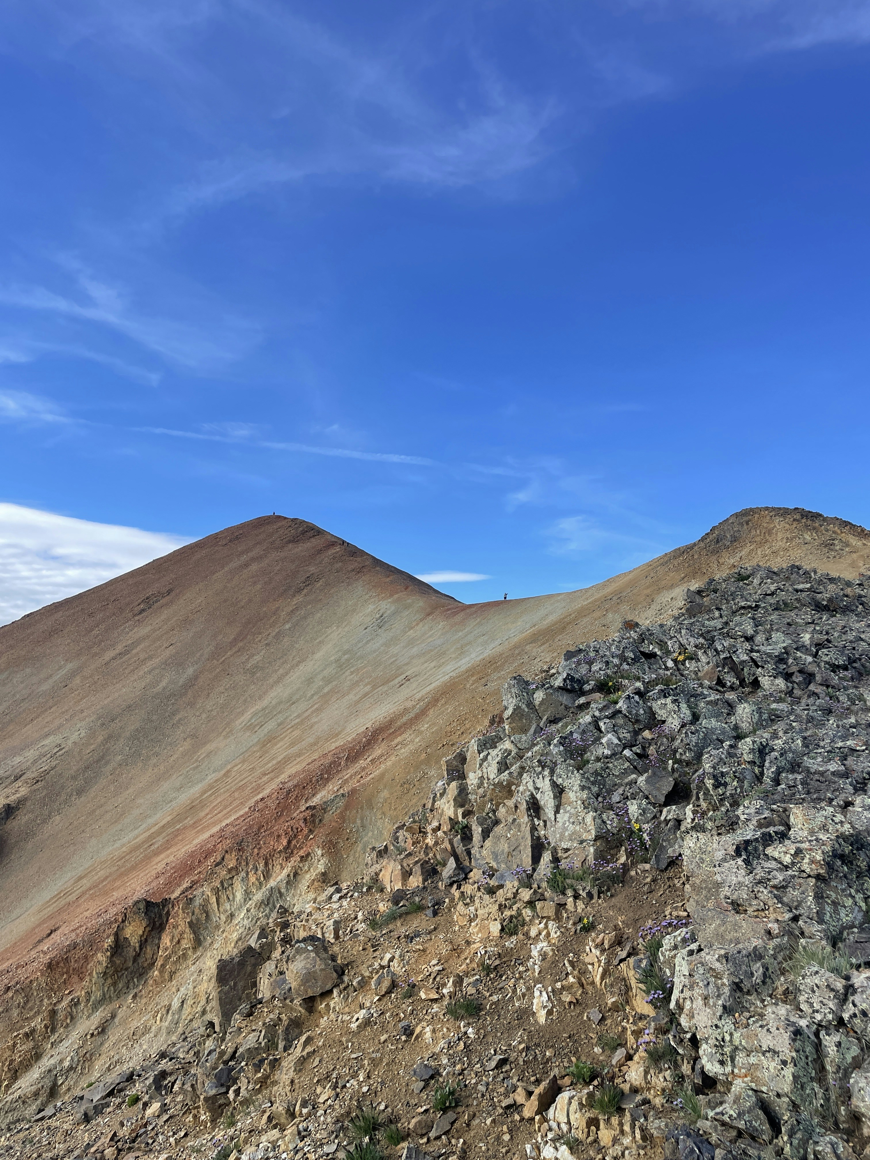 Photo by jonmarkhaley