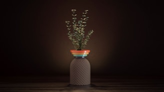 a plant in a pot