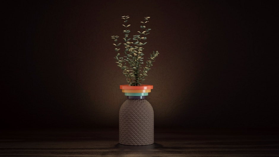 a plant in a pot