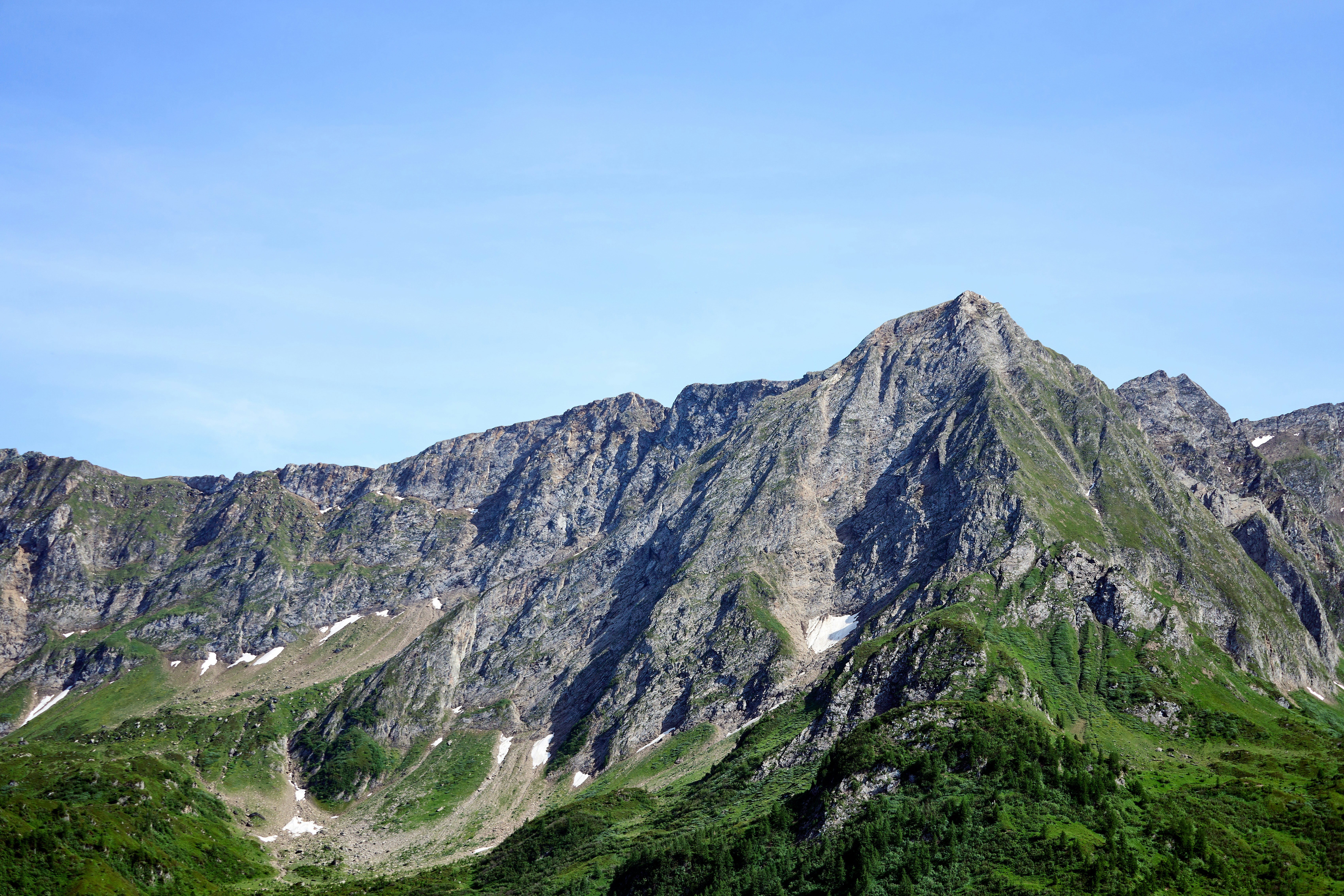 Photo by wolfgang_hasselmann