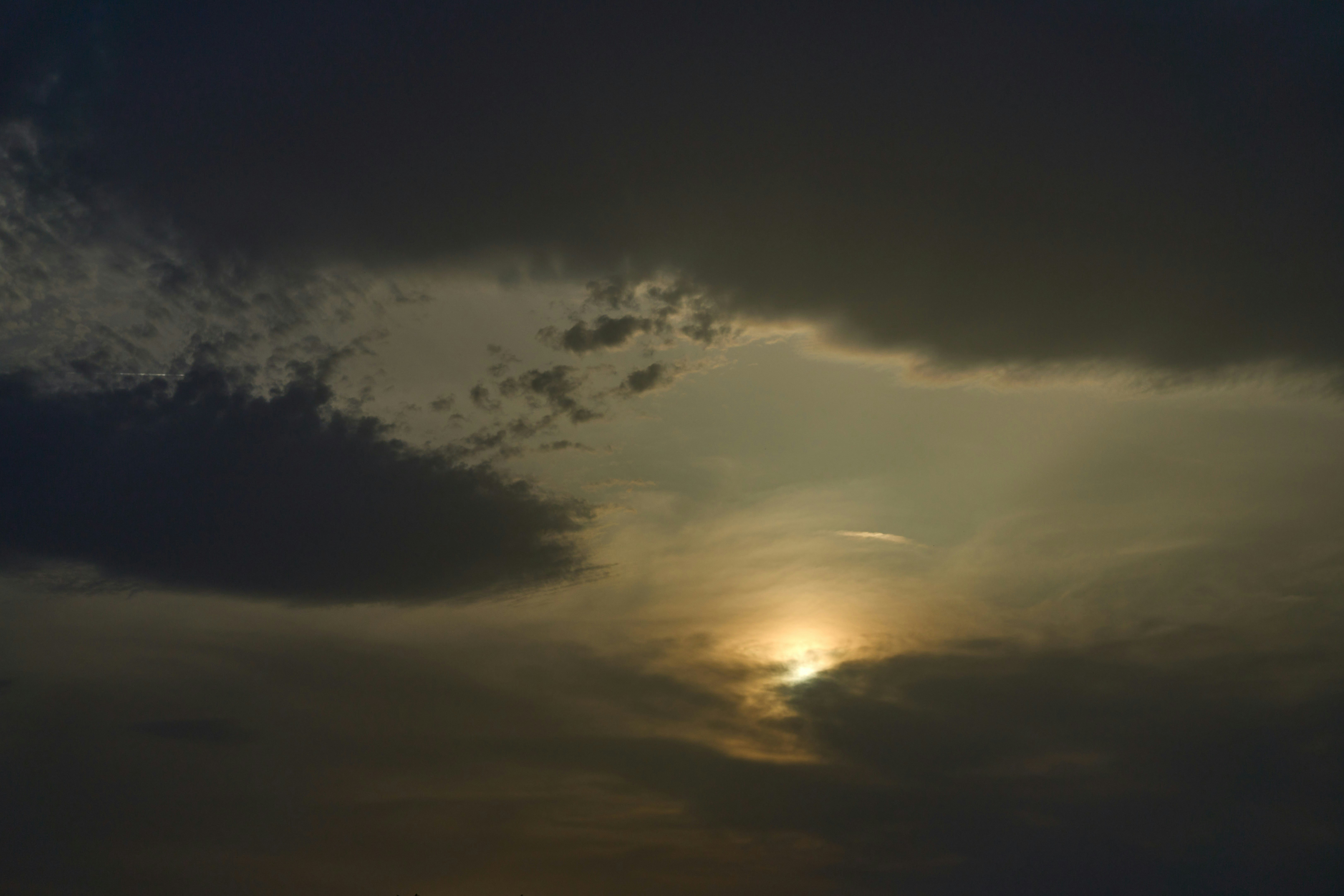 Photo by wolfgang_hasselmann