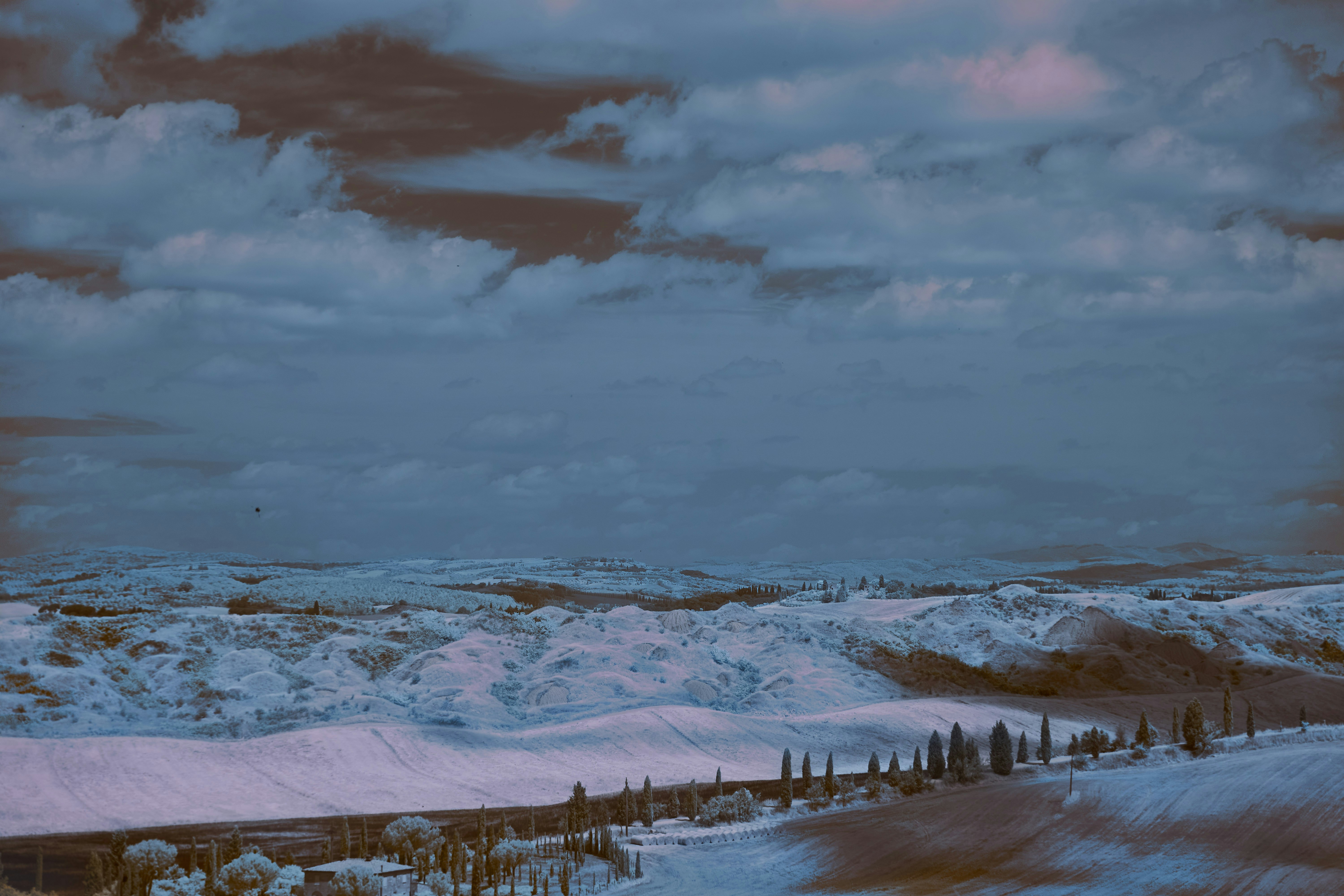 Photo by wolfgang_hasselmann