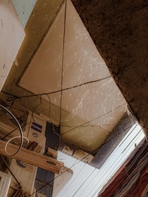An indoor scene featuring a ceiling with hanging cobwebs and wires. Electrical fixtures and signage are visible along with exposed structural elements. There's a mix of artificial and natural light, creating a somewhat dim atmosphere.