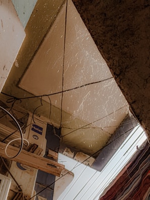 An indoor scene featuring a ceiling with hanging cobwebs and wires. Electrical fixtures and signage are visible along with exposed structural elements. There's a mix of artificial and natural light, creating a somewhat dim atmosphere.