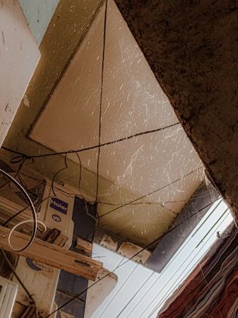 An indoor scene featuring a ceiling with hanging cobwebs and wires. Electrical fixtures and signage are visible along with exposed structural elements. There's a mix of artificial and natural light, creating a somewhat dim atmosphere.