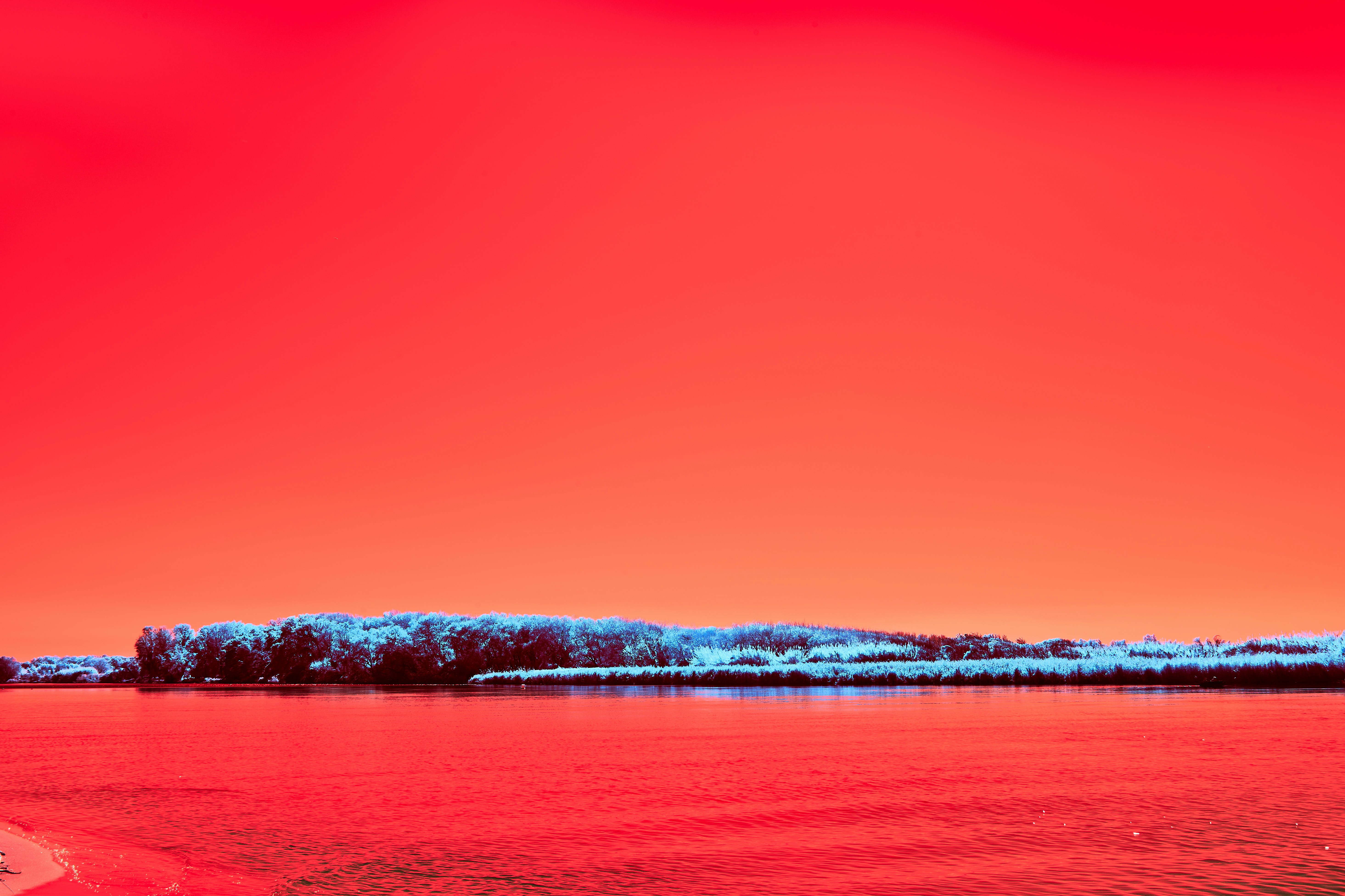 Photo by wolfgang_hasselmann