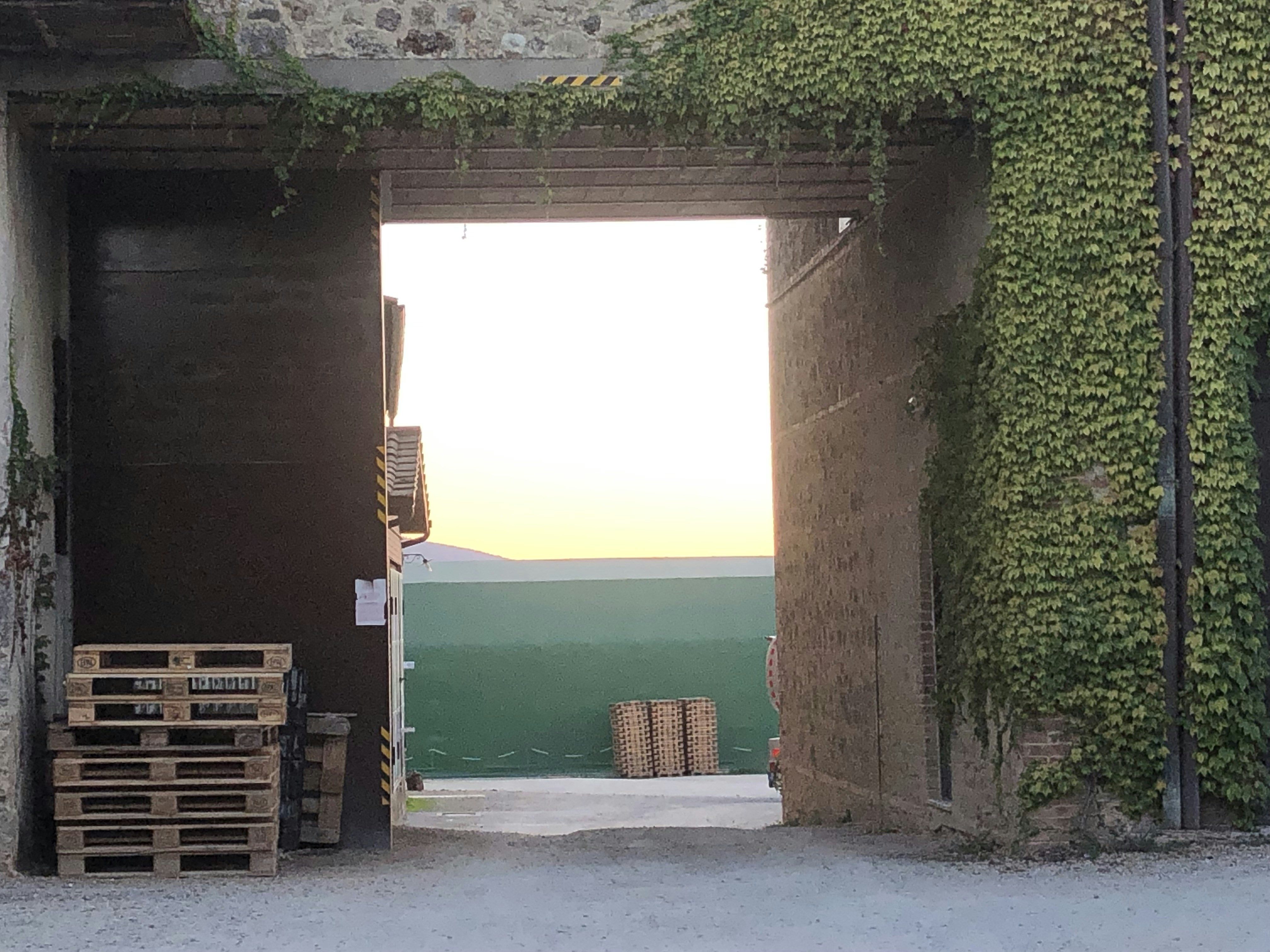 A building with a large archway