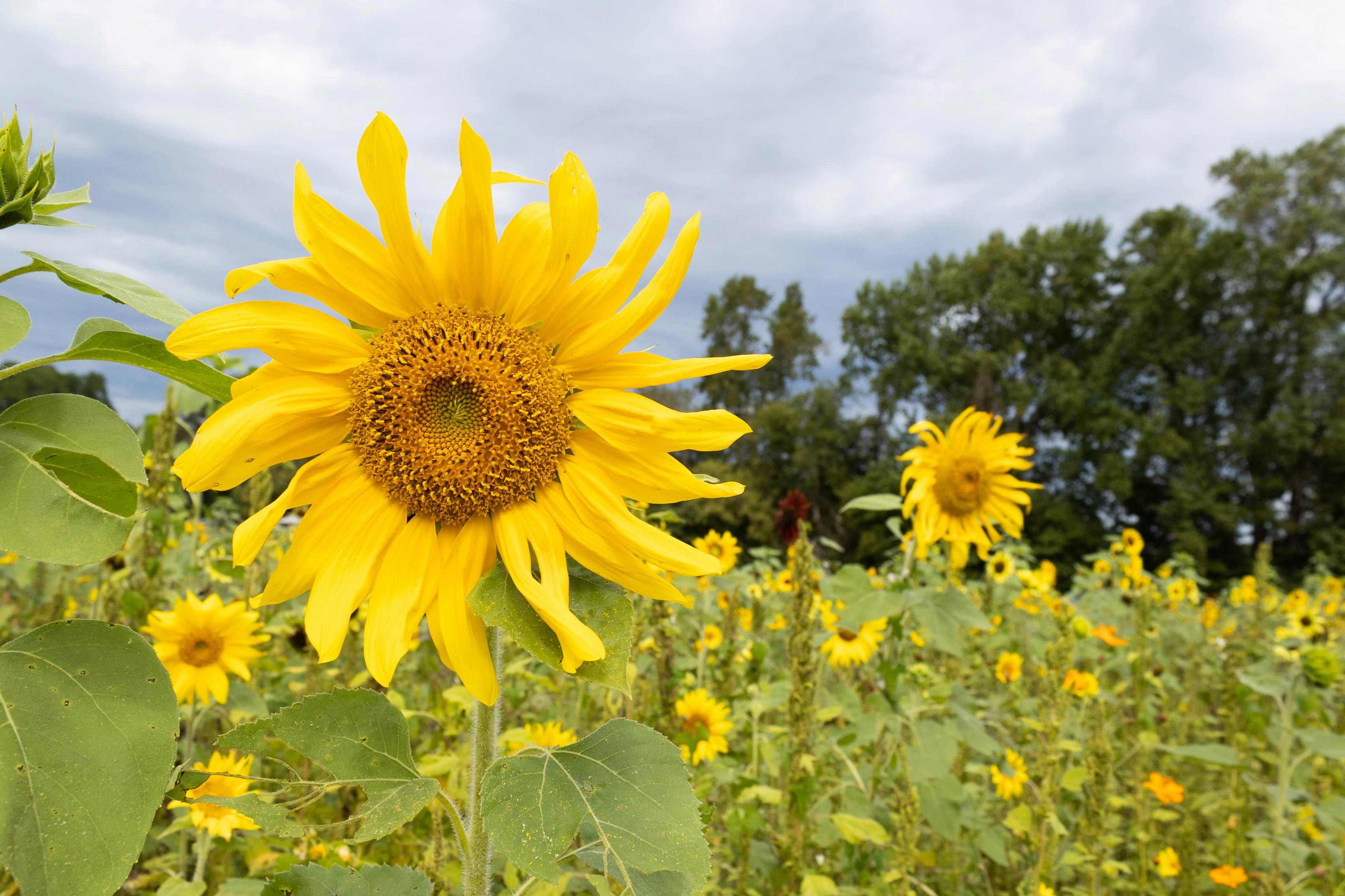 Photo by leslie_outofdoors