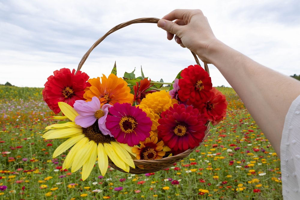 a person watering flowers