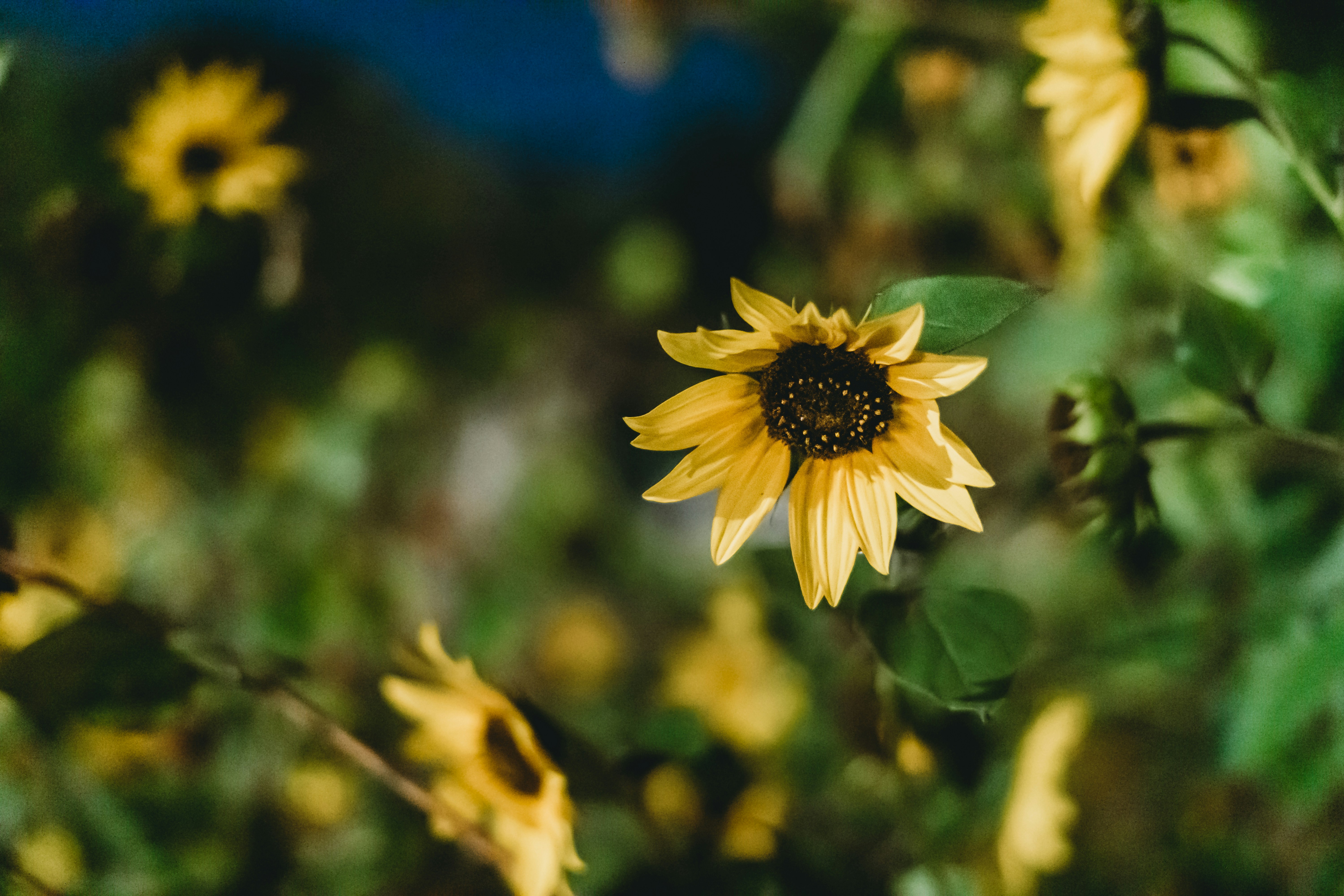 Photo by stevenvanelk