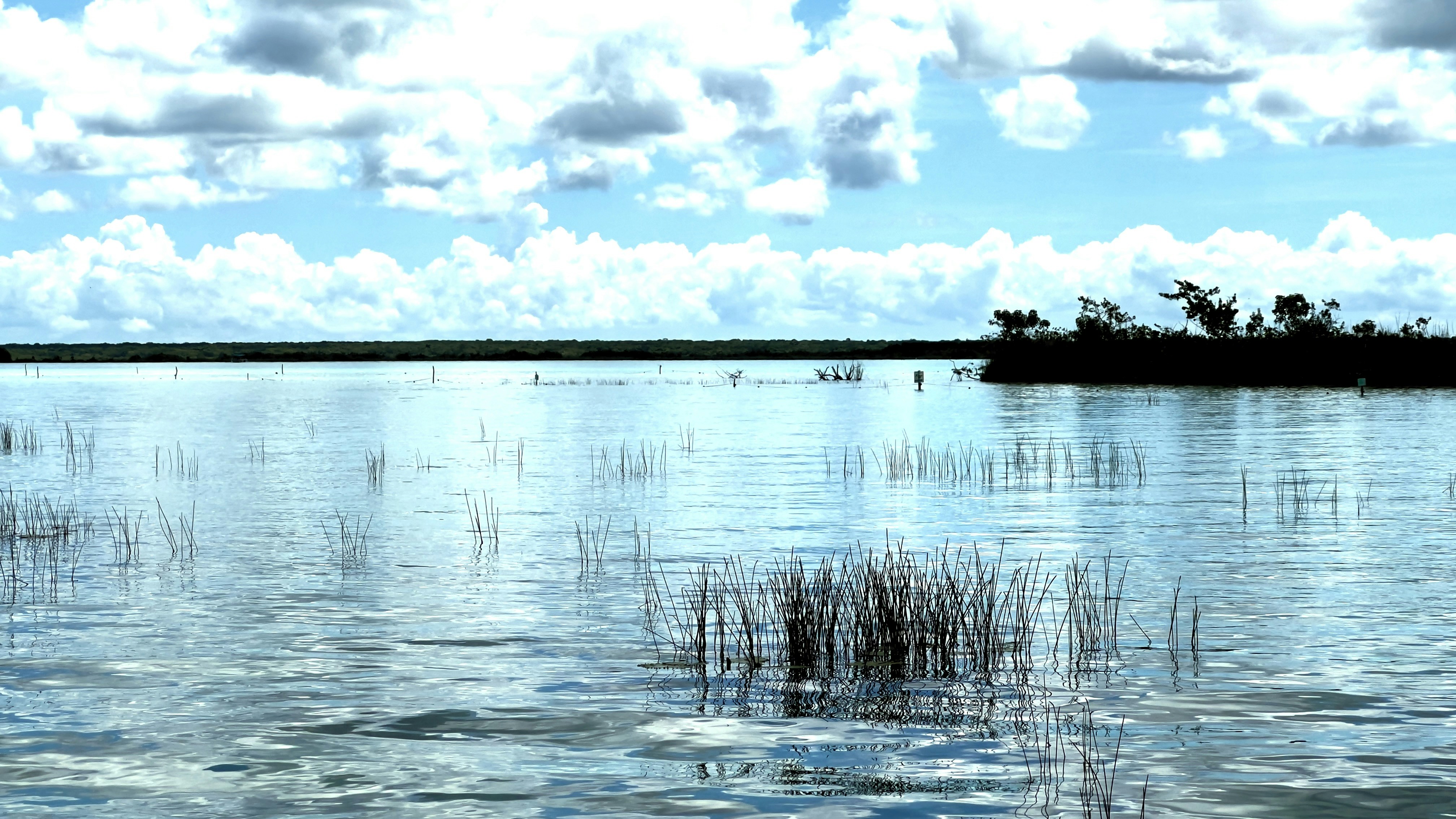 Photo by luisrojasbroc