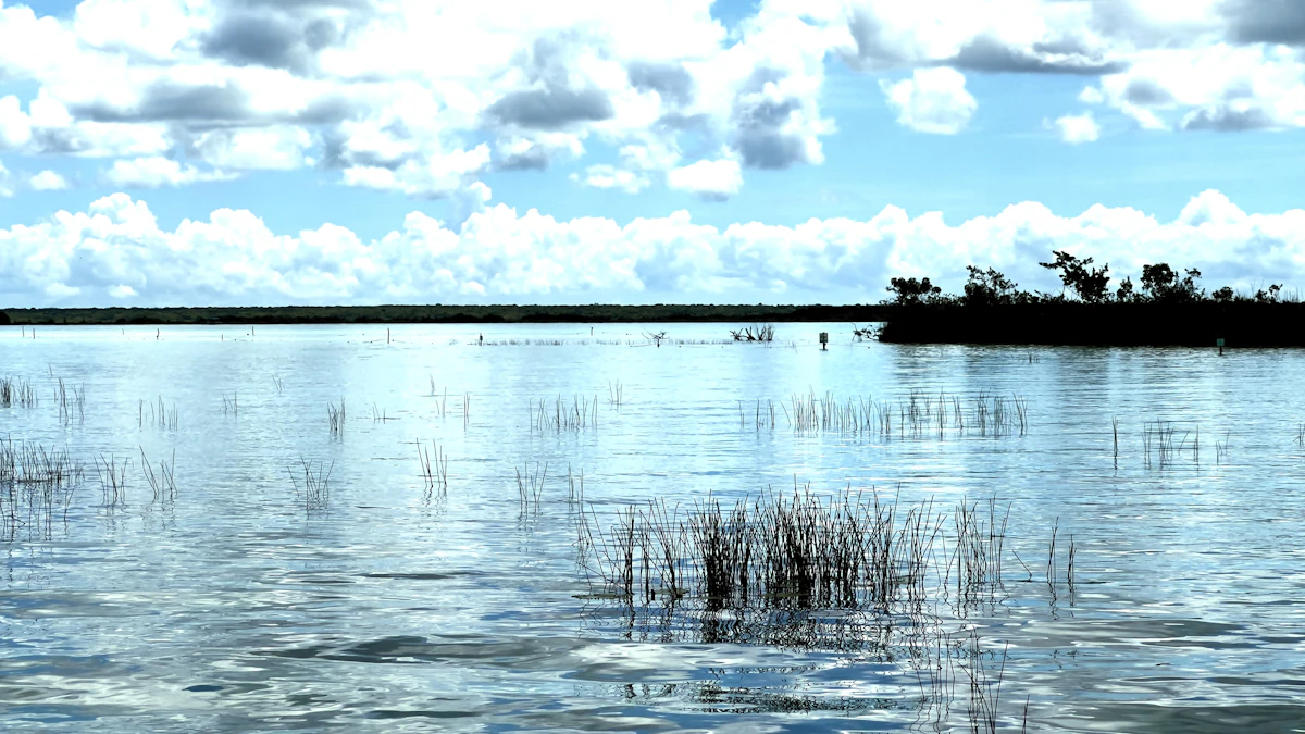 Wooden dock and palapa on Bacalar lagoon