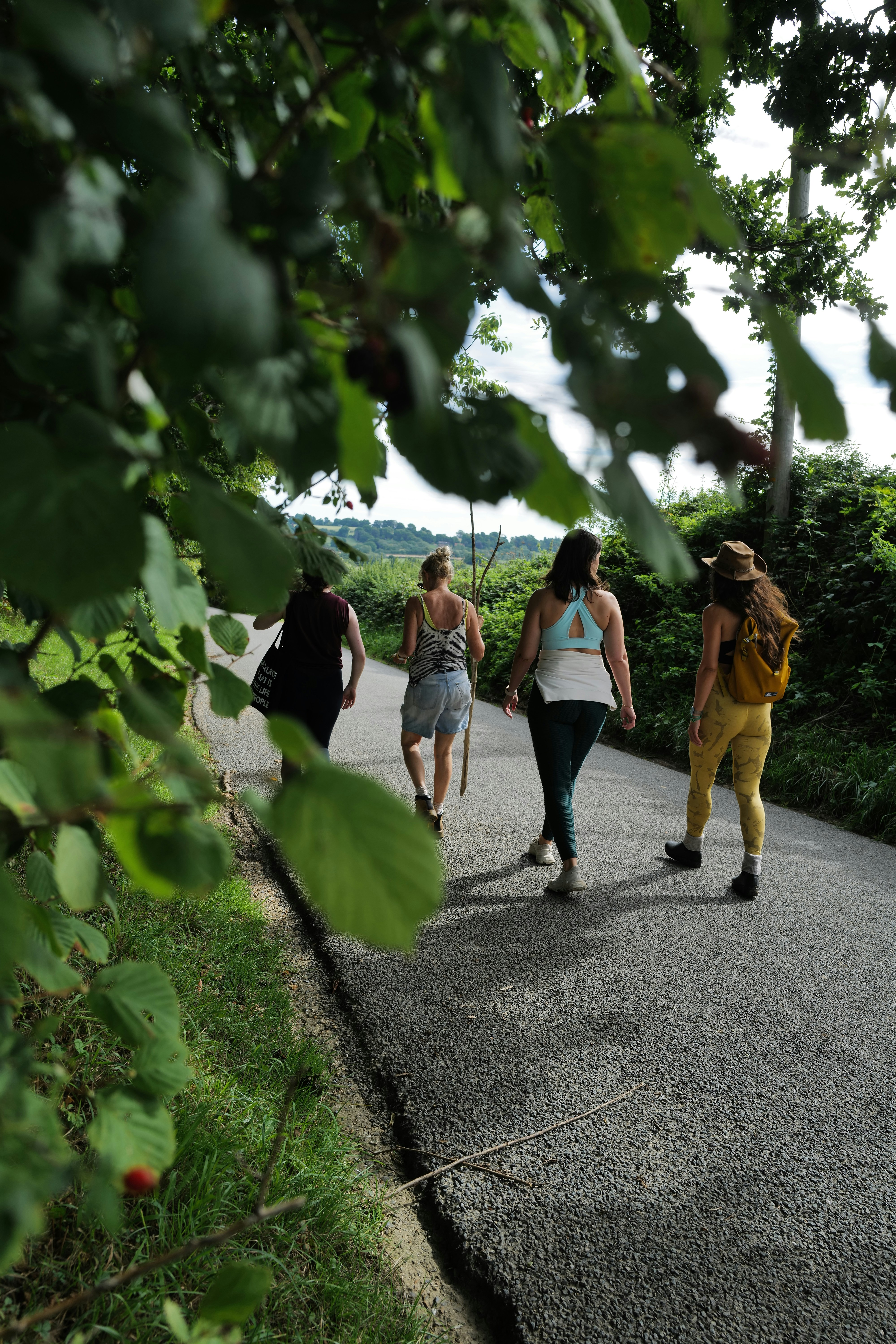 A group of people walking on a path through a forest photo – Free ...