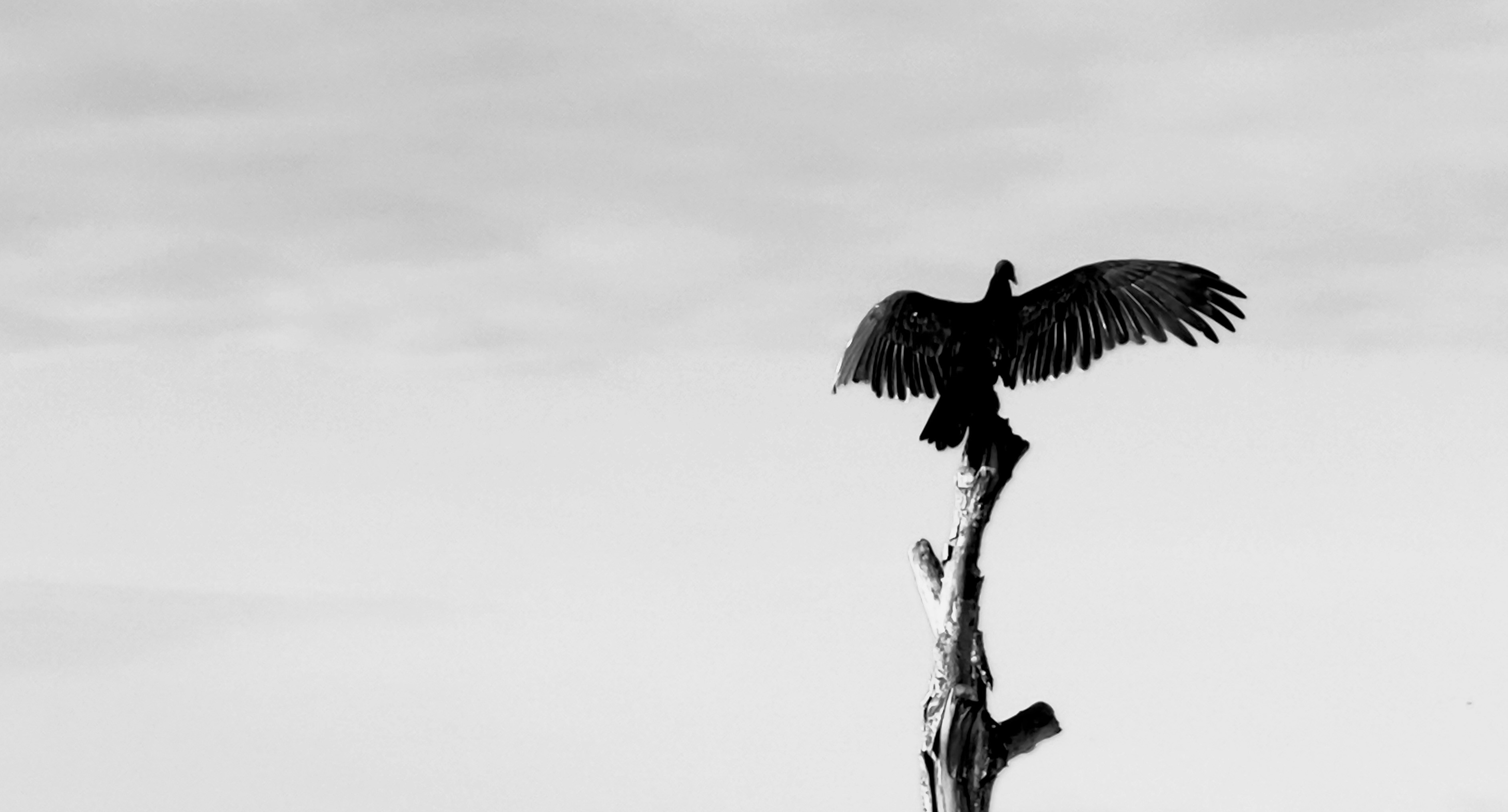 Photo by luisrojasbroc