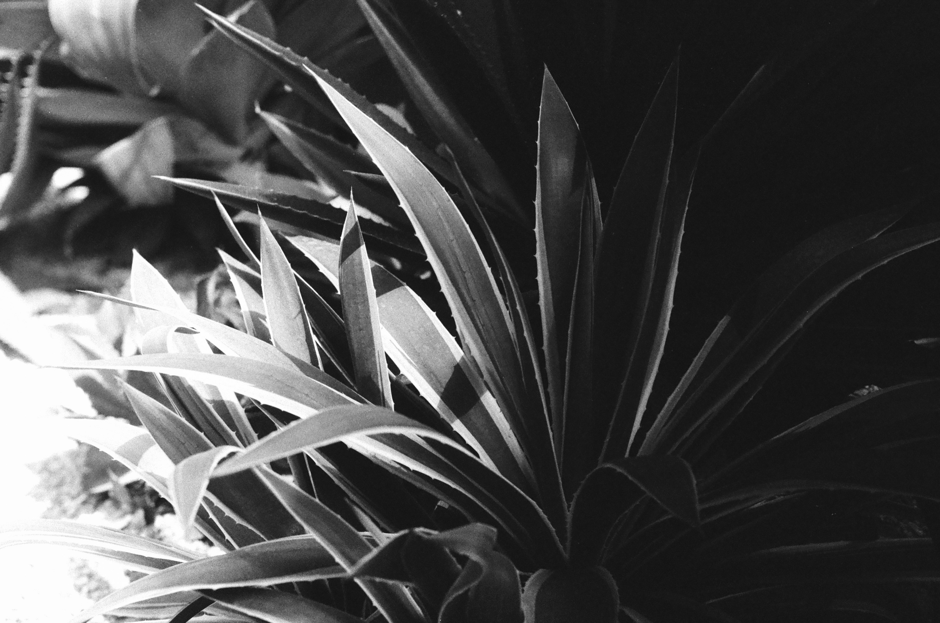 Photo by jinthetruth