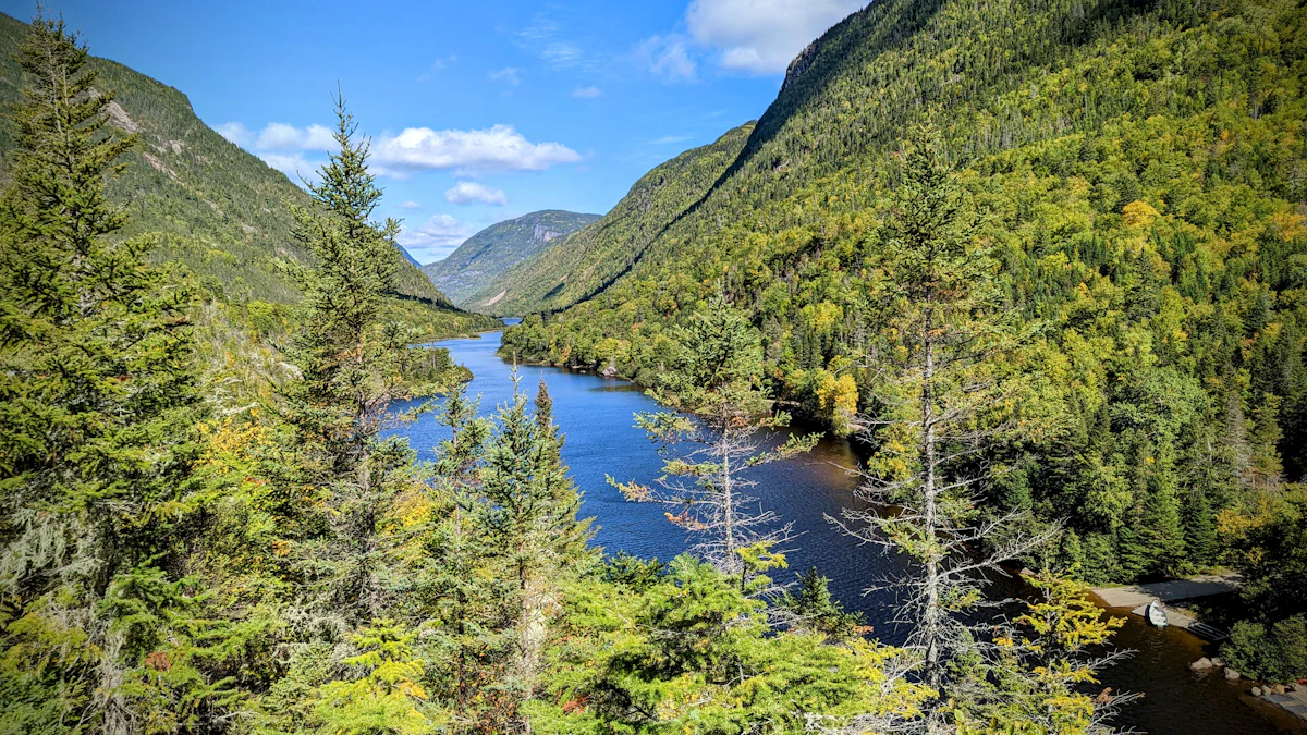 The Malbaie River winding between steep forested slopes in Hautes-Gorges-de-la-Rivière-Malbaie national park
