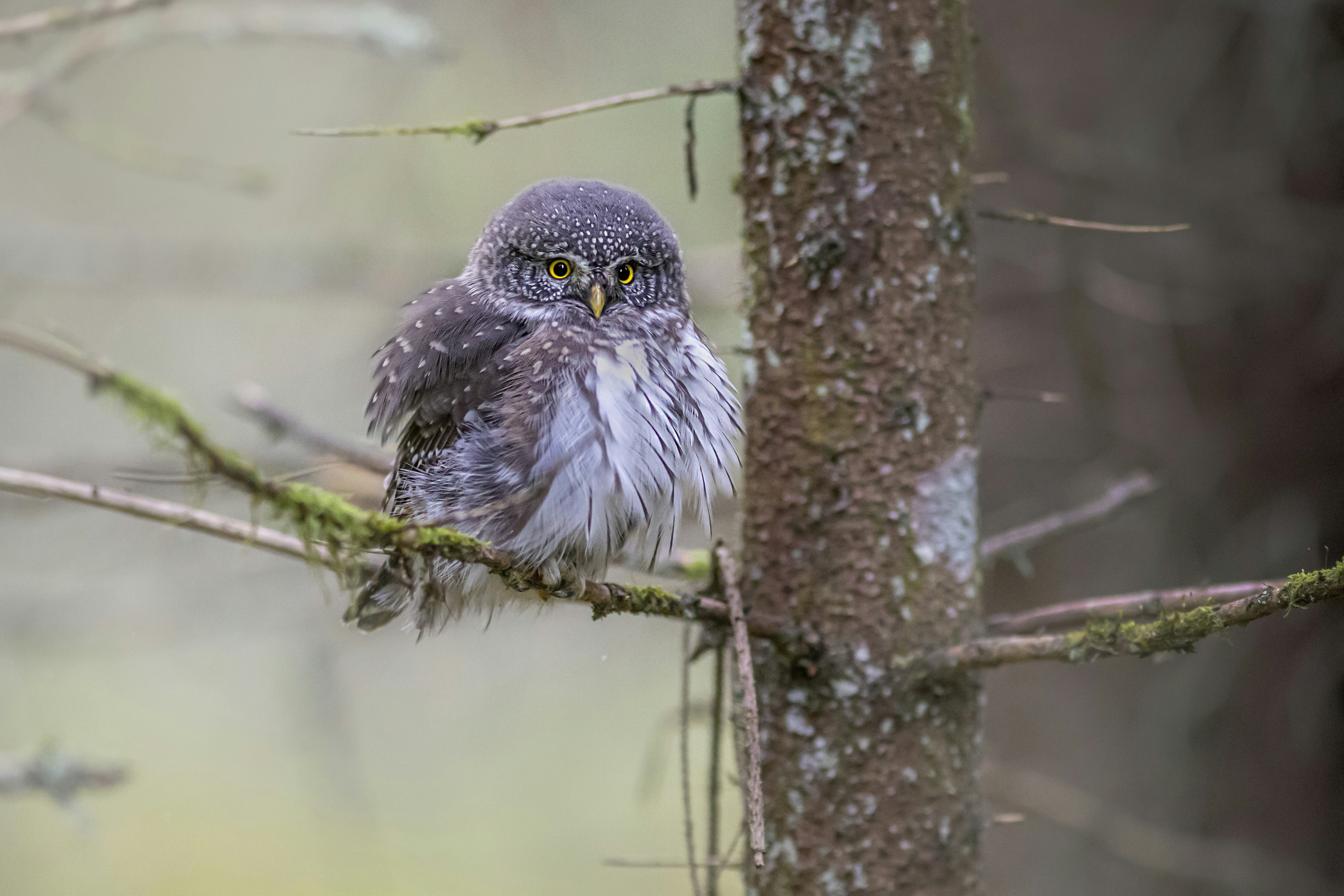 Photo by erik_karits