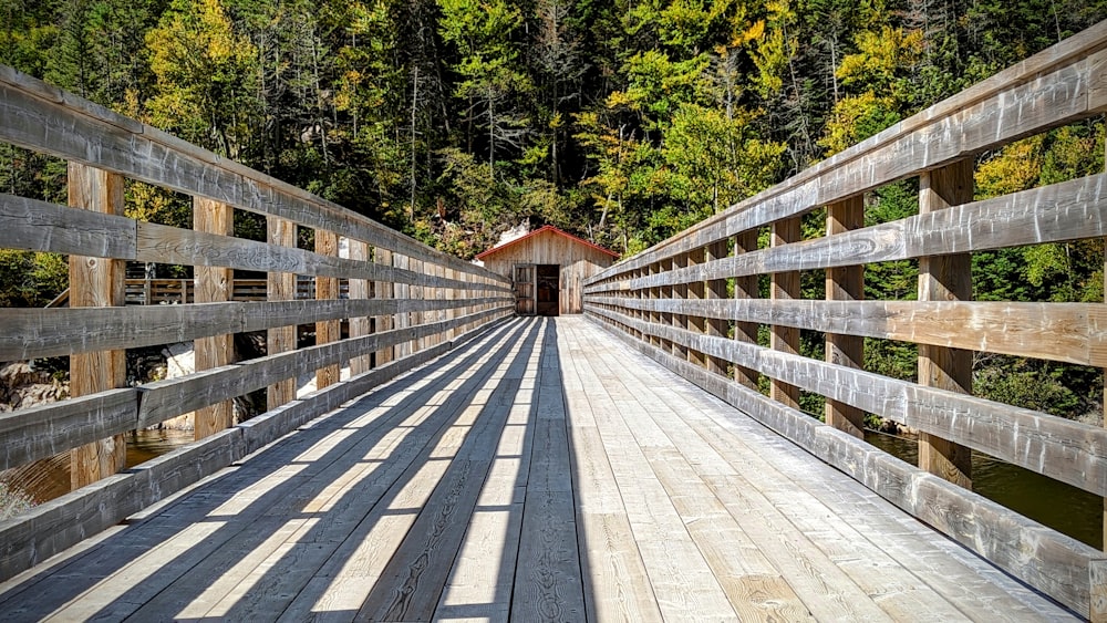 Un puente con una pasarela