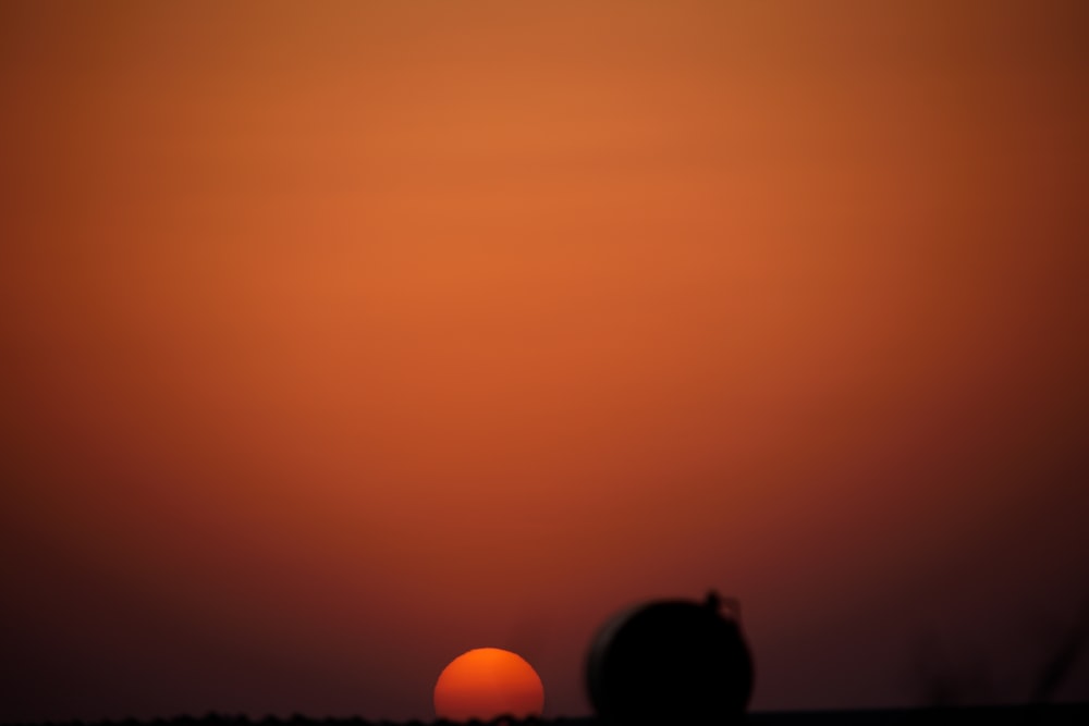 a person's back looking at the sun