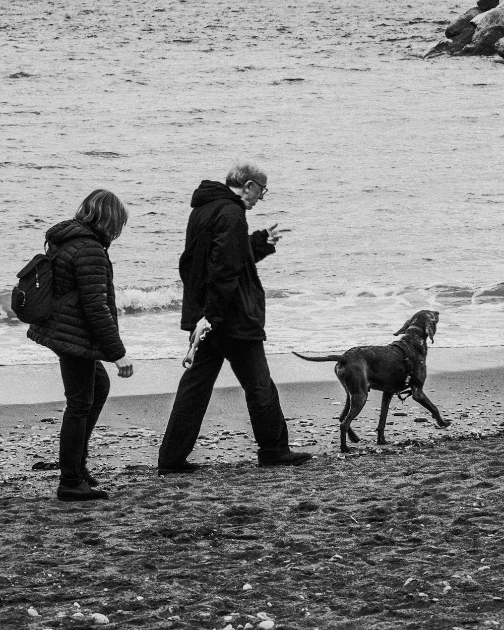 a man and a woman walking a dog on a beach