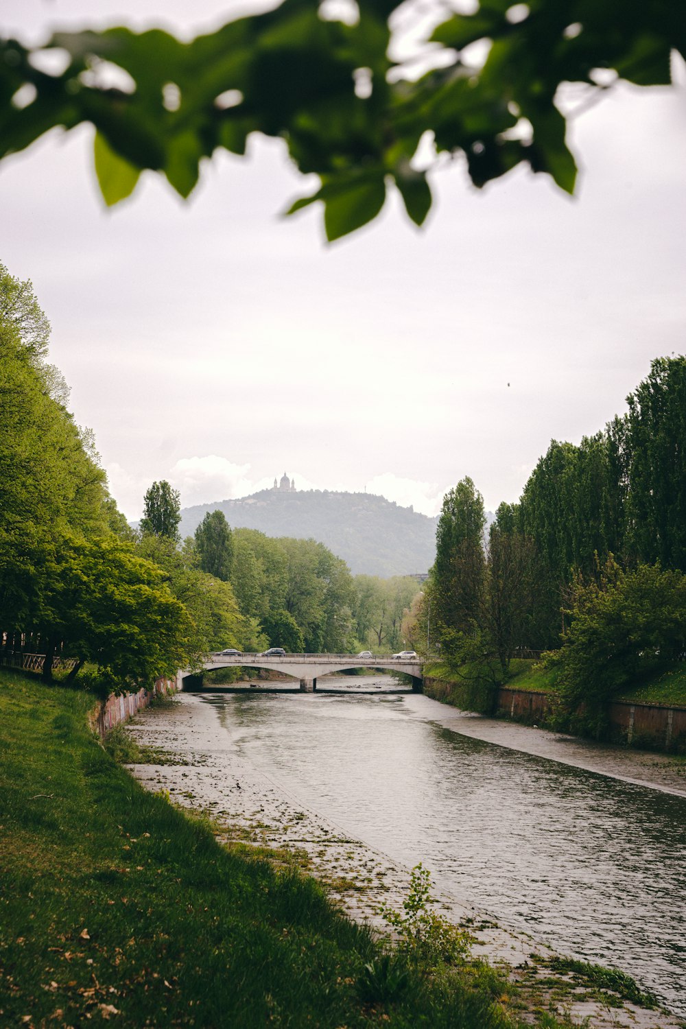 a river with a bridge and trees