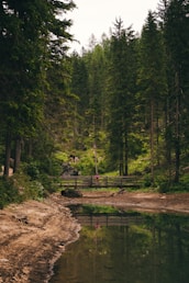 a bridge over a river