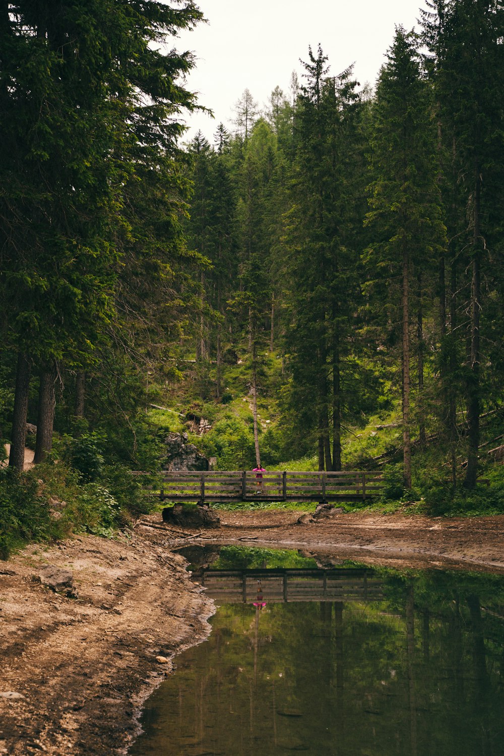 a bridge over a river