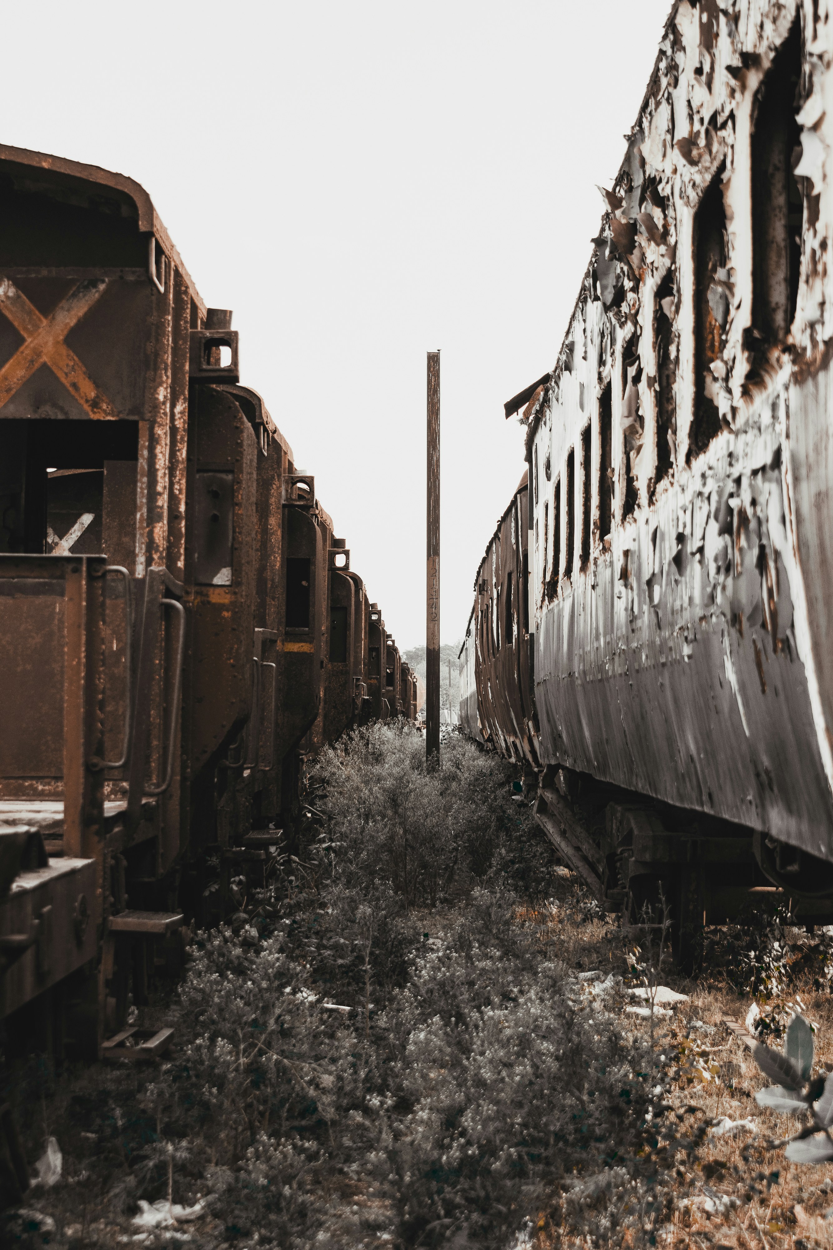 Photo by salmanhaider47